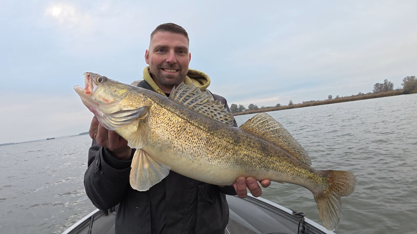 📣 Special deal for Zander fans on the Hollands Diep!
Book a Zander trip on the Hollands Diep within the next 4 weeks and pay not €450 but €400.
Same great day, same fishery, just €50 saved.
🎣 Mention the booking code LFGHD2025
Valid for fishing days from November 25 through December 21 — after that, the discount expires.