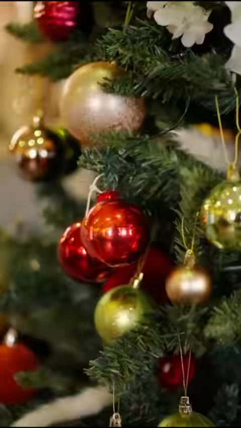 🎄✨ The decorations are UP and The Rose & Crown Brentwood is looking absolutely fabulous — full-on festive glow-up vibes! ✨🎄
Come and see for yourself… and while you’re here, tuck into our Festive Menu because 2 courses for £27.45? What’s not to like! 🍽️😄
Perfect for getting into the Christmas spirit — or escaping it, we don’t judge.
📲 Book your table online:
https://web.dojo.app/create_booking/vendor/56Zde-9zdMk87e8zpQFmllJ3Ys3tPOtKa3FkzVjx31Q_restaurant
📞 Or call: 01277 410805
#RoseAndCrownBrentwood #FestiveMenu #ChristmasDining #BrentwoodEats #FestiveVibes #DeckTheHalls #BrentwoodLife #ChristmasAtThePub