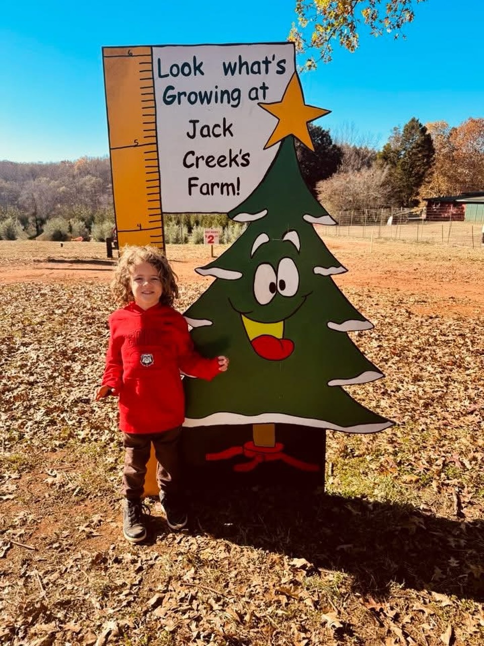 🎄❤️ This is what it’s all about at Jack’s Creek. ❤️🎄
Not about trends… not about who decorates first…
It’s about family, friends, and making memories that last forever. Moments like these — watching your kids grow year after year on the farm — that’s the real Christmas magic. ✨
At Jack’s Creek, we have field trees you can cut yourself and fresh pre-cut Fraser firs straight from North Carolina. 🌲
If you choose a field tree, we provide the saw, and after you cut it, we shake it, bale it, and tie it on your car for you — making the whole experience easy and fun for the family. ❤️
📅 Hours:
Weekdays: 11 AM – 6 PM
Weekends: 9 AM – 6 PM
🎅 Santa Hours:
• Dec 6 — 11 AM–4 PM
• Dec 7 — 10 AM–5 PM
• Dec 13 — 10 AM–5 PM
• Dec 14 — 10 AM–5 PM
Bring the whole family, take photos, make traditions, and come grow with us at Jack’s Creek — because Christmas is all about the memories you make together. 🎄✨
#JacksCreekFarms #FamilyTraditions #ChristmasMemories #CutYourOwnTree #FraserFirs #SantaAtJacksCreek