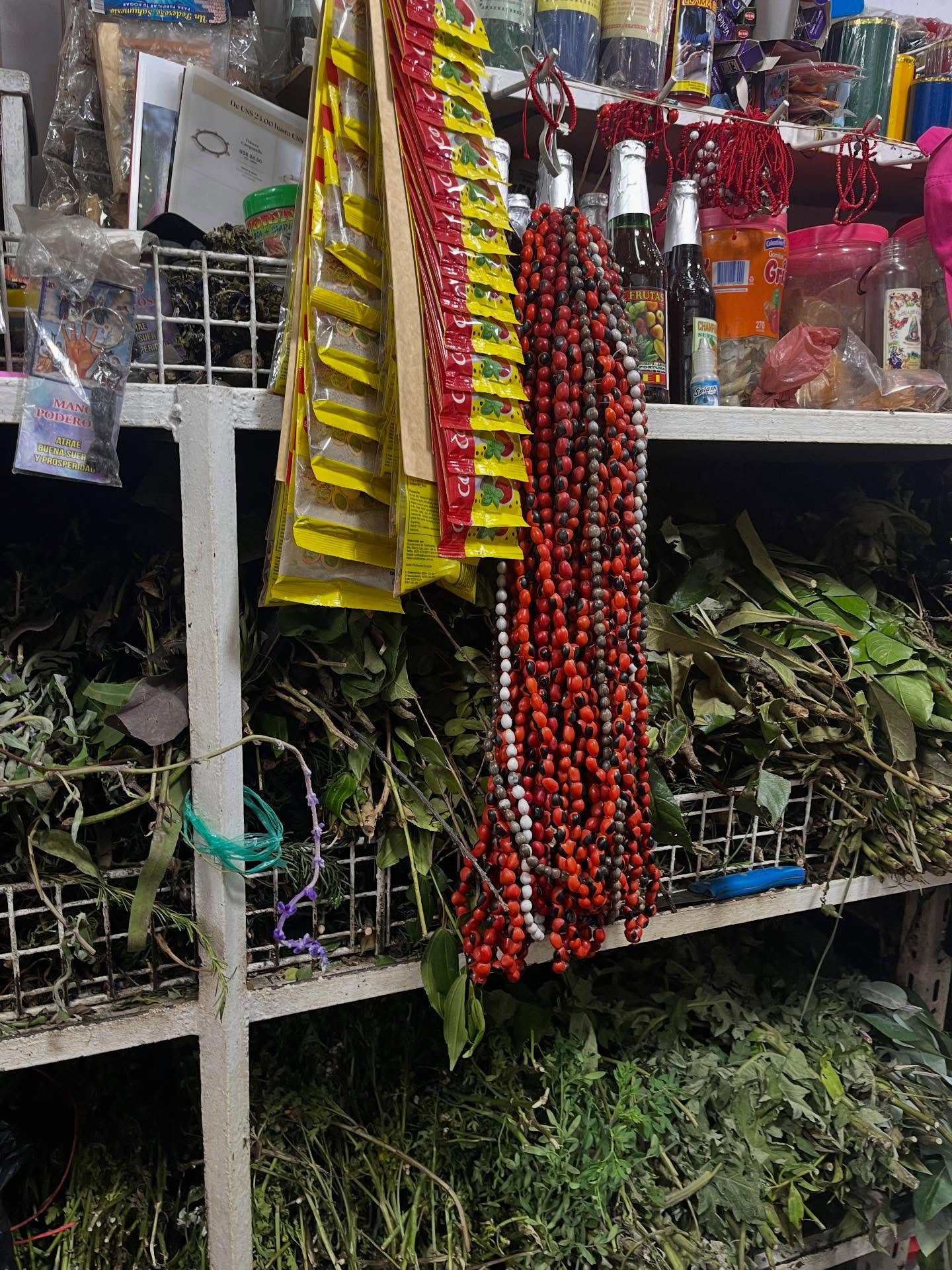 A packed and fun day in Ecuador including a herbal cleansing, chocolate tasting, convent visit, great lunch, visit to the equator line, and agave tasting where I got to help show the difference between ethanol and methanol.