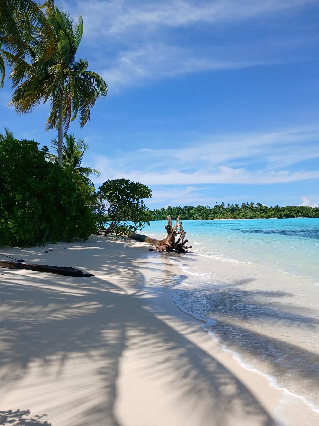 ✨ Ayau — the place that looks unreal even when you’re standing in it.
From satellite images to real life, the sea here is so blue it feels impossible. 🌊💙
Crystal water, quiet horizons, and a beauty you have to see to believe.
#Ayau #IslandMagic #BlueBeyondBelief #OceanDreams #TropicalEscape #WanderMore #UnrealViews #rajaampat #rajaampatisland #westpapua