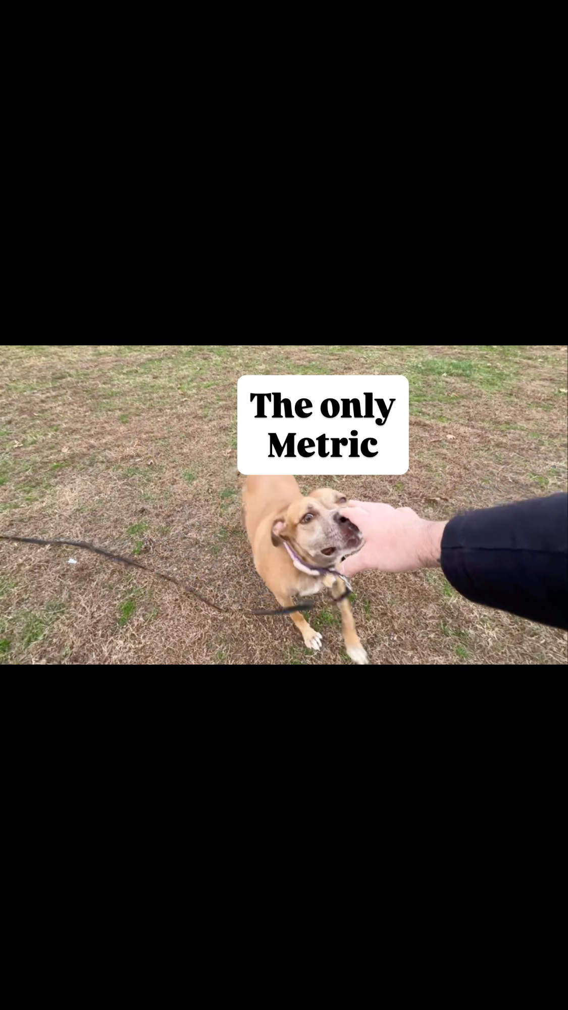 Cleo & Kim are an unstoppable duo. I cannot tell you how proud I am of the confidence, the drive channeling, and the level of trust!
When I first met Kim in this exact spot, I was recalling Mila from even shorter distances, and Kim said “my dog could never do this.”
Well, ya just did my friend. Hell yeah. Not done. Just getting started. Doesn’t even know a single tool yet. But the emotional state is 🤩
#caninerehabilitation #dogtraining #offleash