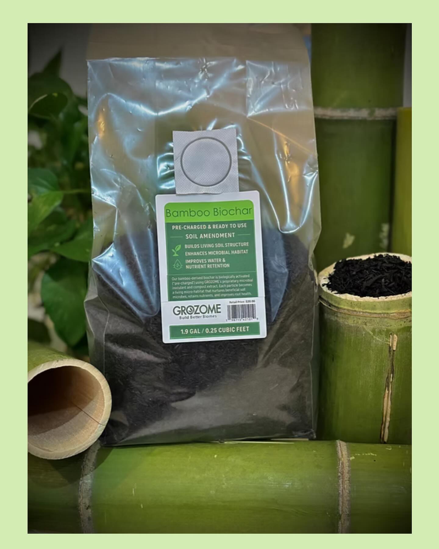Hi, I'm new here!
Meet Bamboo Biochar the newest member of the GROZOME Soil Health Hero trio!
The tiny-but-mighty soil amendment your plants will instantly thank you for.
Made from bamboo this lightweight, porous magic boosts your soil by:
âš Holding nutrients so plants actually
absorb them
âš Improving water retention
âš Creating a cozy home for beneficial
microbes
âš Supporting stronger roots + healthier
growth
A little sprinkle = a BIG upgrade to your soil food web.
Your plants will feel it. Your garden will show it. đ
Link to shop in our bio. Save 40% through December 1!
Follow for more soil education, plant hacks, and easy ways to build better biomes. đż
#biochar #bamboobiochar #soilhealth #soil
#soilamendment, #soilfoodweb #livingsoil #organicgardening #livingsoil #regenerativefarming #gardensoil #gardening101 #gardentips #plantcaretips #growyourownfood #bettersoil #grozome