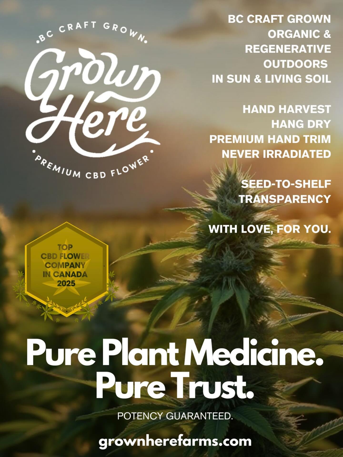 Find us tomorrow Nov 26 at the @radiclefemmes Radicle Femmes event in Vancouver - cohosted with @stratcannmedia. 300 Water St. 2 - 5pm. Tix are still available online for those wanting to attend! Find our amazing rep Connor there and ask him about our most recent award for Best CBD Flower in Canada and how you can get your hands on this beautiful healing flower! #bestcbdflowers #bestcbd #bestcbdcanada