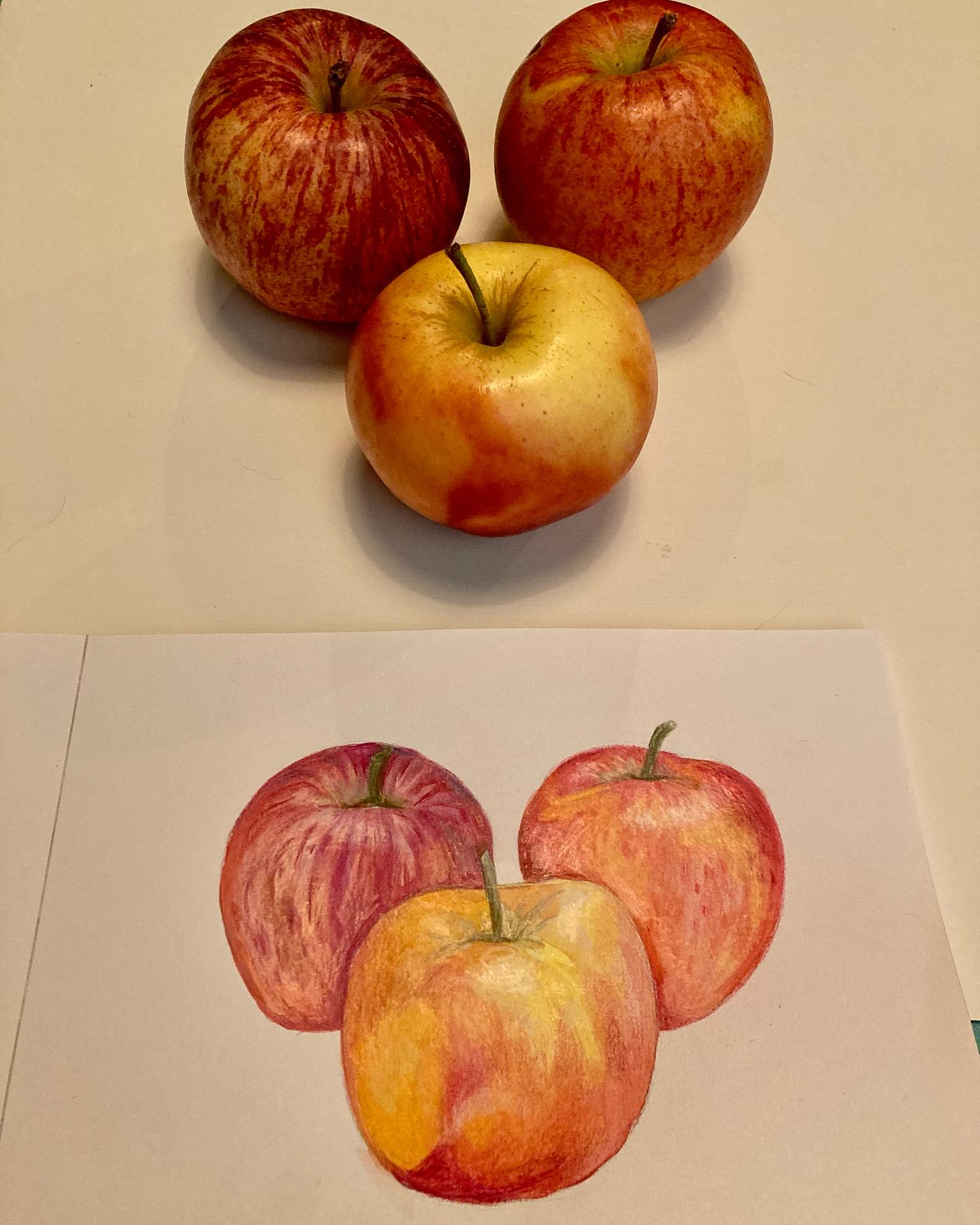 La pomme selon la Diététique Chinoise!
Un dessin perso, ma recette préférée!
La pomme est de nature neutre à fraiche (selon son acidité), de saveur douce et acide, de tropismes Rate/ Estomac/ Poumon. Elle tonifie le QI et produit les liquides (comme beaucoup de fruits), traite la sécheresse, humidifie de Poumon, arrête la diarrhée chronique, mais traite aussi la constipation.
Elle fait baisser la tension, favorise le sommeil et serait intéressante pour prévenir le cancer du colon.
Churchill disait: « One apple a day keeps the doctor away » (une pomme par jour éloigne le médecin), ce qui confirme la théorie chinoise, car, grâce à sa richesse en fibres, la pomme s’avère être excellente pour la santé, surtout celle du Coeur, pour traiter l’hypertension et faire baisser le cholestérol.
Elle renferme aussi des vitamines et minéraux importants aussi pour consolider les os, traiter l’asthme, certaines allergies, prévenir le diabète de type 2 et certains cancers.
Attention toutefois à ne pas en consommer en excès car risques de distension abdominale et flatulences!
Ma recette préférée: bien sûr la tarte fine aux pommes, le boudin noir aux pommes, mais surtout mon Gâteau invisible aux pommes et myrtilles!
(Recette sur mon blog, lien dans ma bio).
.
#pomme #pommes #royalgala #apple #bienfaits #fruits #bonpourlasanté #alicament #alimentsanté #dietetique #dietetiquechinoise #madreperlamtc