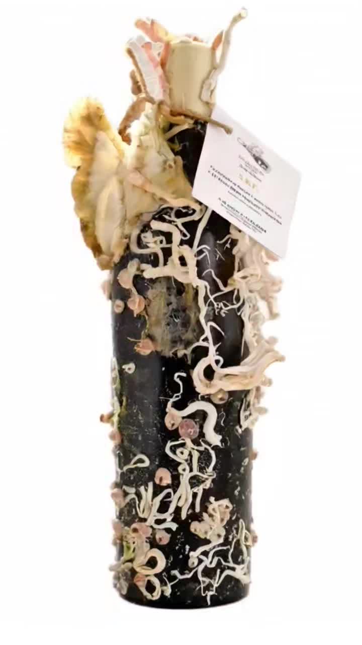 El regalo perfecto!
Contactanos +34 605 33 64 69
.
.
.
#wine #winelovers #vino #vinoespañol #vinosubmarino #regalo #perfecto