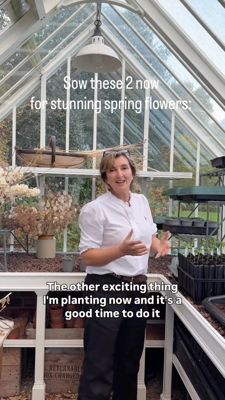 Yes you can have flowers next spring. Sow along with me for flowers in a raised bed, the garden or container next year. Buy some sweet pea seeds and Rununculus corms - they are on sale online at the moment. They like the cold (unlike me) and will thrive growing healthy roots over winter. Just keep them in a protected area so the frost doesn’t touch and damage their leaves.