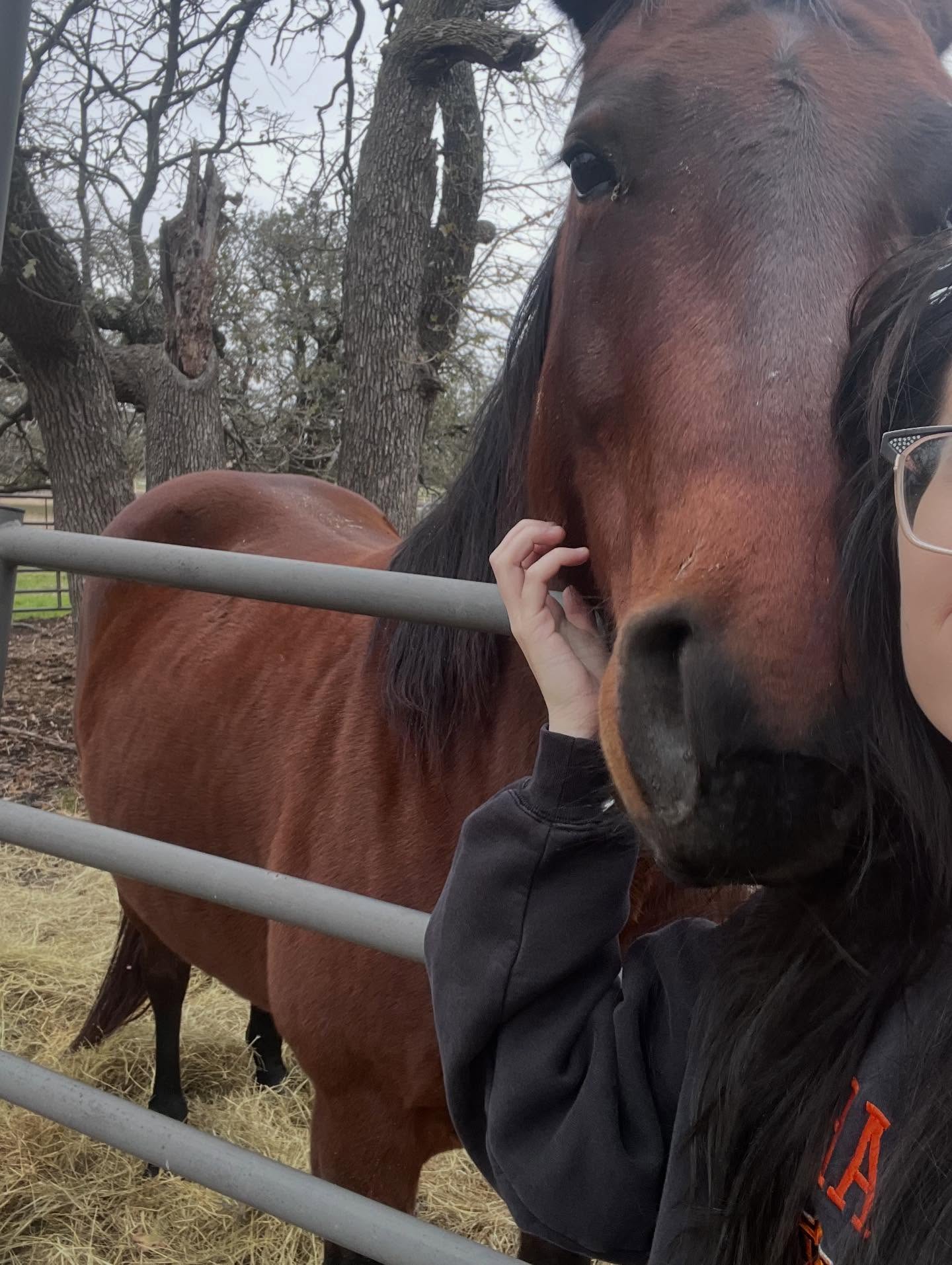 Look who we got back from Wyoming ❤️ #Dolly