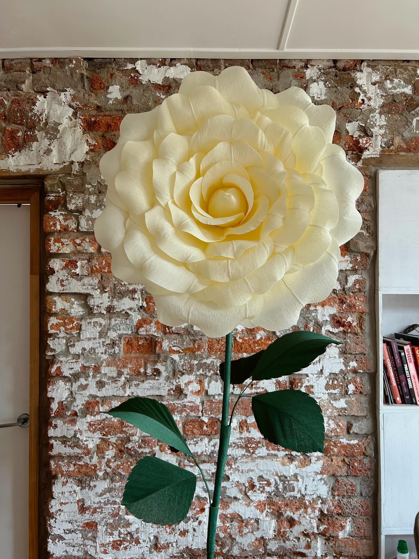 Giant Florita Roses 🤍✨
We’ve spent so long perfecting this piece — two versions before finally landing on the one. In our eyes, this is the perfect rose.
Inspired by the White Rose Queen from Alice in Wonderland (my favourite movie ever and a huge inspiration behind all my giant flowers). 🌹✨
#giantpaperflowers #giantroses #floritastudio #melbournegiantflowers #melbourneevents