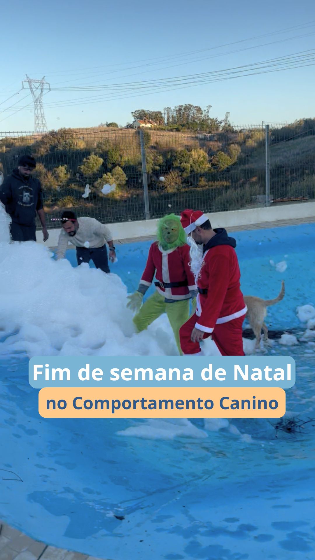 O fim de semana de Natal no Comportamento Canino não foi só diversão.
Foi criar experiências positivas, respeitar o ritmo de cada patudo e manter rotinas que dão segurança. 🎄🐾
Entre brincadeiras, desafios mentais, novas sensações e momentos de descanso, vivemos um fim de semana pensado ao detalhe para o bem-estar físico e emocional de cada cão.
Porque celebrar também é ensinar, preparar e cuidar.
✨ Qual foi o momento que mais gostaram?