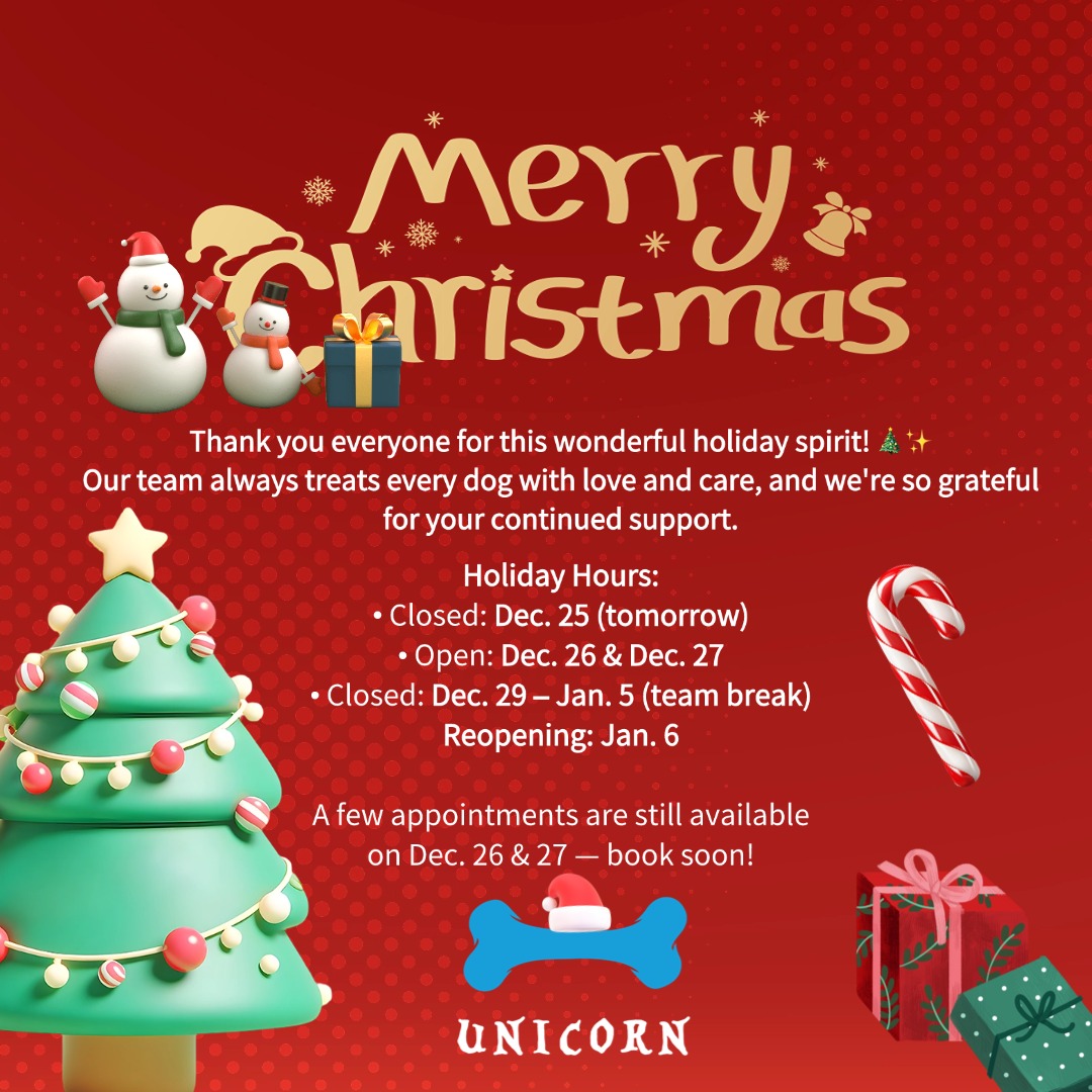 Merry Christmas to you and your furry ones! 🎄🐶
Thank you everyone for this wonderful holiday spirit! ✨
Our team always treats every dog with love and care, and we truly appreciate your continued support.
Wishing you all a joyful holiday season!
📌 Holiday Hours:
• Closed: Dec. 25 (tomorrow)
• Open: Dec. 26 & Dec. 27
• Closed: Dec. 29 – Jan. 5 (team break)
• Reopening: Jan. 6
🐶 A few appointments are still available on Dec. 26 & 27 — book soon!