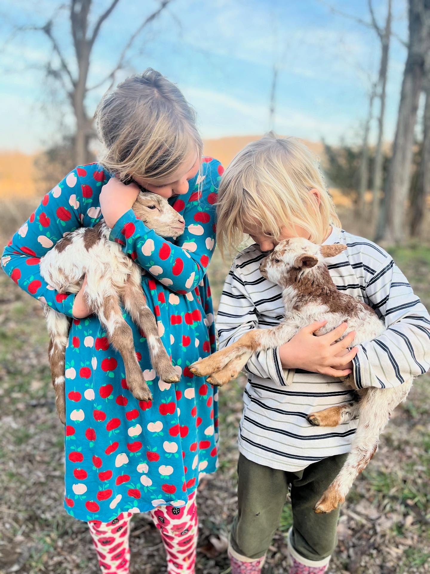 New year, first new lambs of the season! 🥰 And twins at that! 🐑🐑 Mum and babies are doing great. Happy new year, good people!! ✨