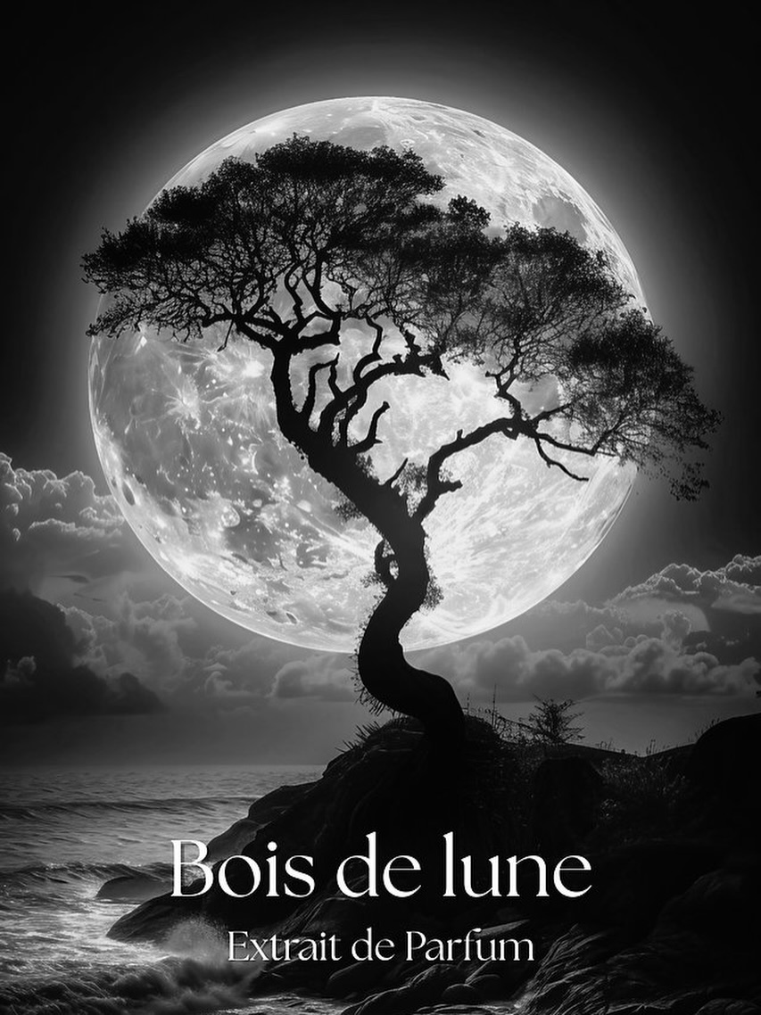 Bois de Lune - La Maison Christophoros
Sous la caresse de la lune, les bois précieux révèlent leur mystère. Le Bois de Cachemire illuminés par un souffle de Safran et de musc blanc. Bois de Lune est la rencontre de l’ombre et de la lumière, une fragrance profonde, sensuelle et lumineuse, dédiée à ceux qui portent la nuit comme un secret.
Bois de Lune.
La lumière née de l’ombre #christophoros #parfum #fragrance #parfums #luxe