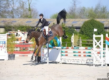 Disponible à la vente : Cascade du Thot
Poulinière de 13 ans pleine de Up To You pour avril 2026
🧬 New Look du Thot x Cacao Courcelle
Souche Favorite I
1/2 frère ayant sauté 1m60
Jument très chic avec de la taille et du sang, belles allures
4,5 pts PACE
A tourné en compétition cycles classiques 4, 5, 6 ans et 7 ans jusqu’à 1m40
A déjà eu 6 produits dont les premiers :
- Havana du Thot (Candy de Nantuel) exporté en Belgique 🇧🇪
- Ionna du Thot (Number One d’Iso)
- Ingles du Thot (Cassalo Z)
Tarif entre 6000 et 10000€ ht
TVA 5,5%
Infos et contact par téléphone au 06 40 89 99 85