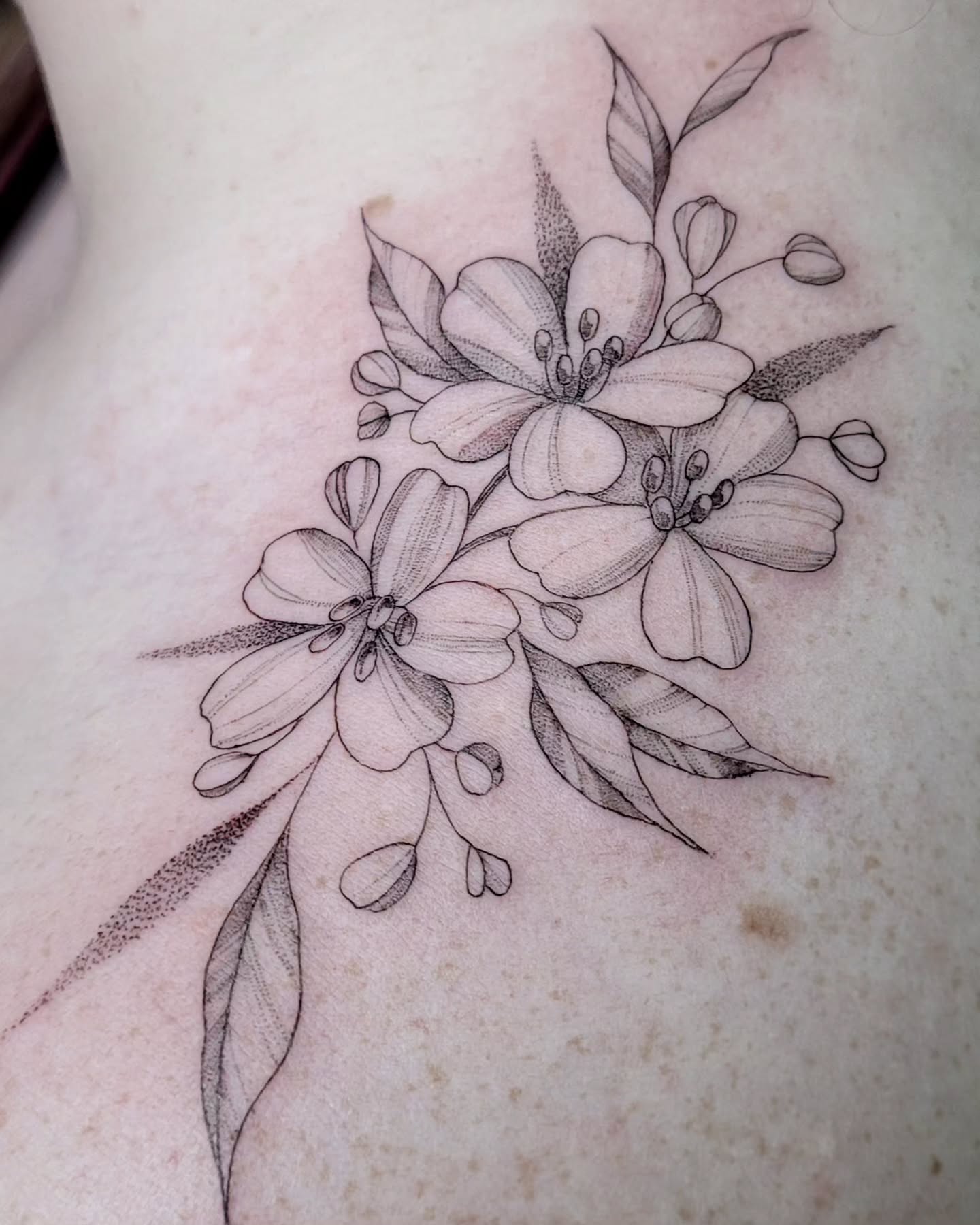 Got to do these lovely little guys from my flash a while back and instead of holding off on posting tattoo photos while I muster the energy, focus and inspiration to put a reel together, I just need to start posting these! ๐
#finelinetattoo #floraltattoo #tattoo #tattooartist #abbotsfordtattooartist #fraservalleytattooartist #vancouvertattooartist #vancouverislandtattooartist #abbotsford #fraservalley #comoxvalley #courtenaybc #nanaimo #campbellriver #bc #canada #vancouvertattoo