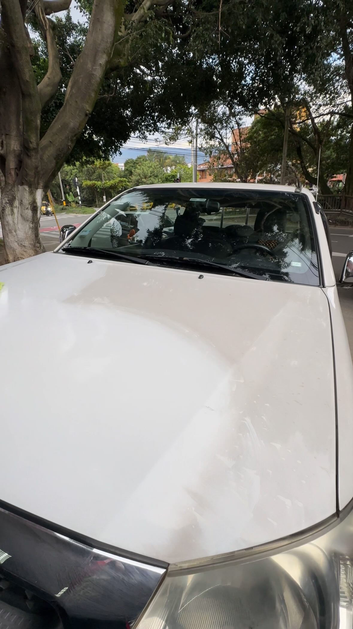 ✨ Deja de desgastar tu carro con copado ✨
Prueba el M7 de Bmax: el desengrasante y desmanchador más completo del mercado.
Con M7 tu carro queda desmanchado, desengrasado, limpio, brillante y descontaminado en minutos. 💥🚗
Úsalo en múltiples superficies:
🔧 Motor
🛞 Llantas
🛡️ Latonería
🪑 Cojinería
… ¡y mucho más!
Ven a probarlo en Cra 65 con Calle 20 – Guayabal.
Dale a tu carro el cuidado profesional que se merece. 💜✨
#Bmax #M7 #DetailingColombia #CarDetailing #LimpiezaAutomotriz #Desengrasante #Desmanchador #BrilloyProtección #Guayabal #CarCare #AutoLimpio #AutoBrillante 🚗✨