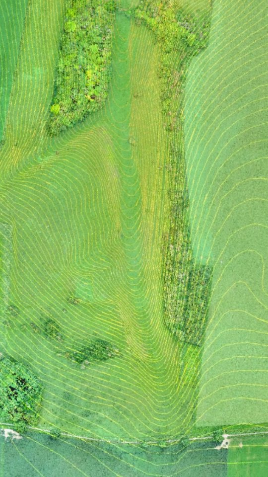 Contour lines aren’t just lines on a map - they’re the key to understanding how land really behaves. 🌍✨
That’s why at XRS Geomatics, we include contour lines at a fixed interval in every single topographic survey we produce. They reveal slopes, high/low points, water flow patterns, and potential challenges - giving our clients the clarity they need to plan effectively and avoid costly surprises later. 💡📐
.
.
.
.
.
#LandSurveying #ContourLines #Geomatics #3DMapping #3DSurvey #ArchitectUK #EngineeringSurvey #SurveyLife #planningapplication #landscapearchitecture #topographicalsurvey #Topografia
