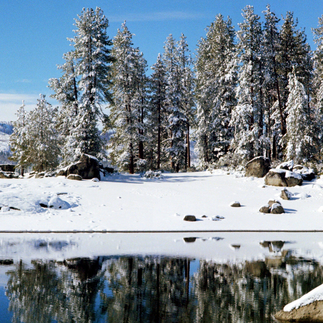 The Latest from China Peak - @skichinapeak🏂️
Sunday, January 4, 5:20 AM ... Snowing consistently this morning, should bring 12-24 inches of fresh snow today. Highway 168 is open with 4WD or chains required eight miles above Shaver Lake, so give yourself extra time traveling to the resort.
We are now on our five day a week schedule, open 9AM-4PM Thursday-Monday all season.
Book your winter stay!!! - www.thecabinhost.com