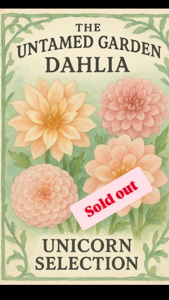 Hallie jumped on a drying tray of ours and helpfully mixed some of our most precious dahlia seeds. I was so angry and flustered when I discovered it, I dropped the tray and fully completed the mixing job Hallie had started.
And somehow… that chaotic moment became our Unicorn Selection. 🦄🌱
I’m so grateful you all loved the magic as much as I did — the first batch sold out in under an hour, and when we added a few more… those disappeared just as fast.
Thank you all so much for your support. We can't wait to see what we grow in 2026✨
We will be posting the contents of our 4 different unicorn selection mixes soon, so you can check your pack to see which you have!
If you missed this drop, we are preparing another sale for Feb/March of 2026. Subscribe to our mailing list to make sure you're in the know. 💌