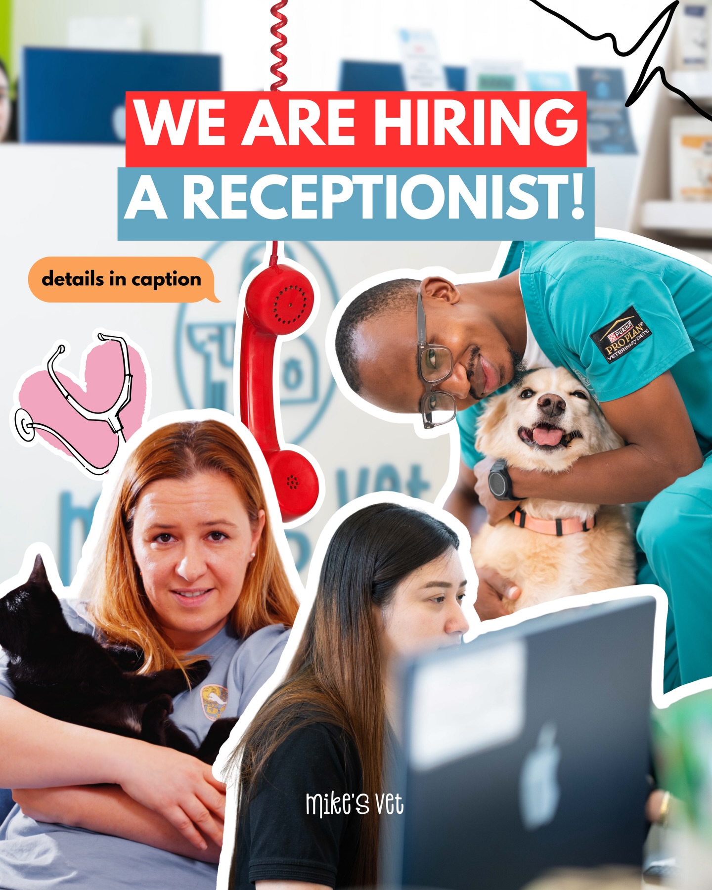 ‼️ We’re Hiring: Veterinary Receptionist 🐾
📍Dubai 🇦🇪
We’re looking for a dedicated and professional receptionist to join Mike’s Vet!
Key Responsibilities:
• Greet clients and their pets in a welcoming, courteous, and professional manner.
• Manage incoming calls, schedule appointments, and respond to client enquiries efficiently.
• Maintain accurate records and assist with administrative tasks as required.
• Coordinate with veterinarians, nurses, and support staff to ensure an organised and seamless workflow.
• Support clients with clear communication, empathy, and a strong customer-service approach.
Requirements:
• Strong interpersonal and communication skills.
• Excellent organisational abilities and attention to detail.
• Previous veterinary reception experience is essential.
• Ability to multitask in a fast-paced environment while maintaining a calm and professional demeanour.
• Proficiency in computer systems and scheduling software.
What We Offer:
• A supportive and collaborative work environment.
• Opportunities for training and professional development.
• The chance to work closely with animals and contribute to high-quality veterinary care.
📩 Apply now: reception@mikesvet.com
We look forward to welcoming the right candidate to our clinic. 🩵
#VetClinic #DubaiVet #VetClinicDubai #Dubai