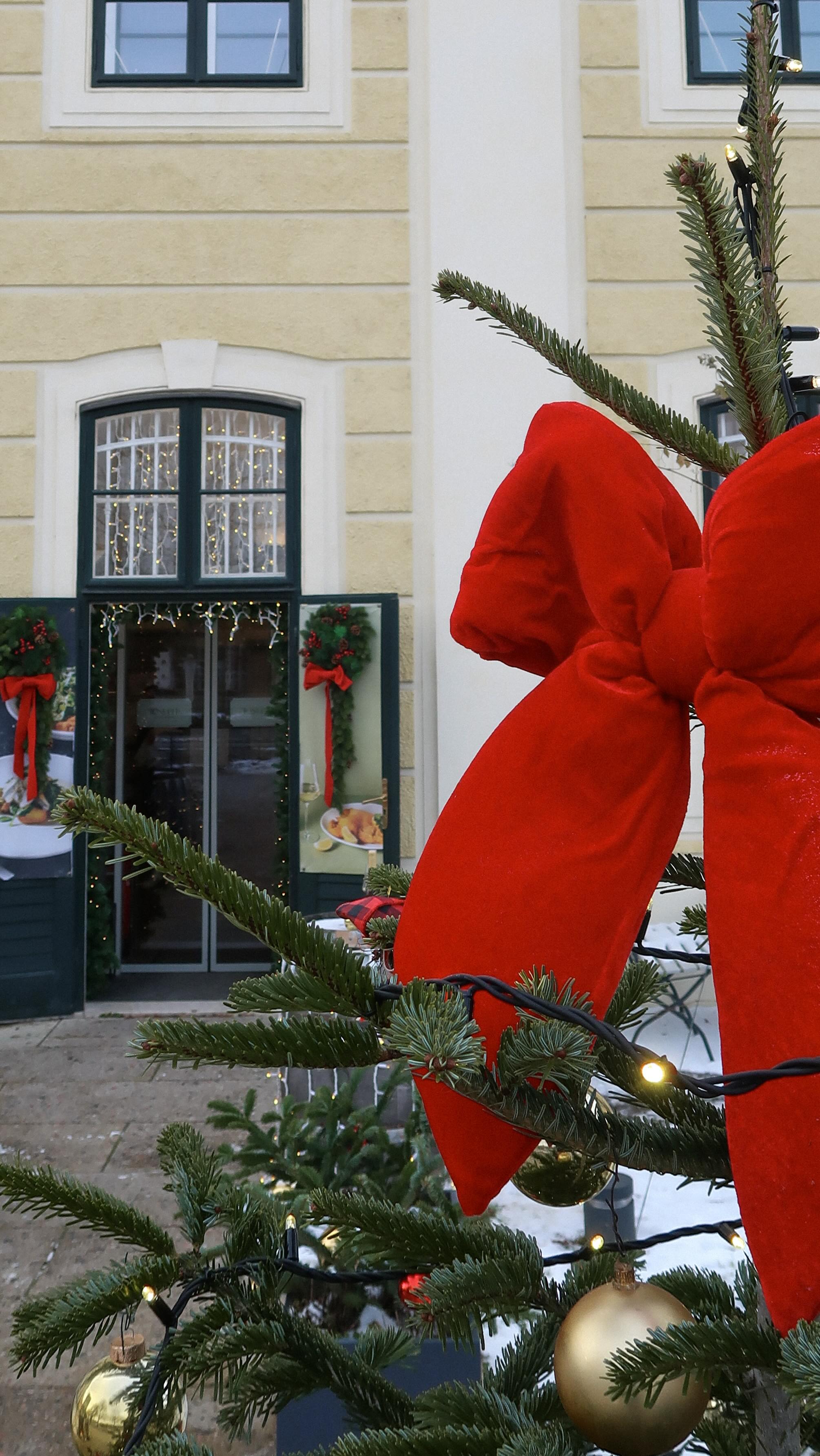 Einer der wichtigsten Schnitzel-Tipps?
Feine Brösel = feines Schnitzel. Ganz einfach.
Nur mit ganz feinen Bröseln souffliert die Panier schön
und wird richtig luftig-knusprig. 🥰
#SchlossSchönbrunn #kochen #Restaurant #RestaurantWien #Wien #WienerKüche #AndiWojta