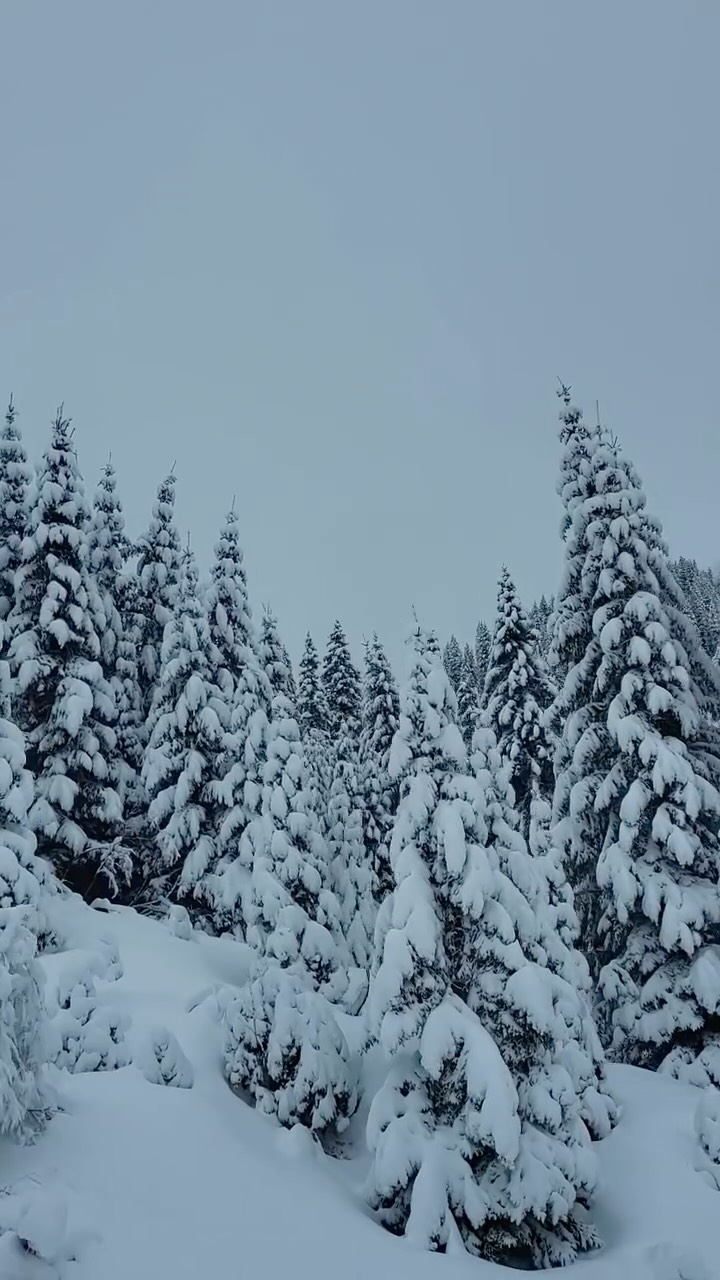 counting the days 😍
5.12. opening @damuels.mellau
#throwback #visitbregenzerwald #meindamuelsmellau #skiurlaub #skikurs #freeride #outdooradventures #yourfriendsonpowderdays