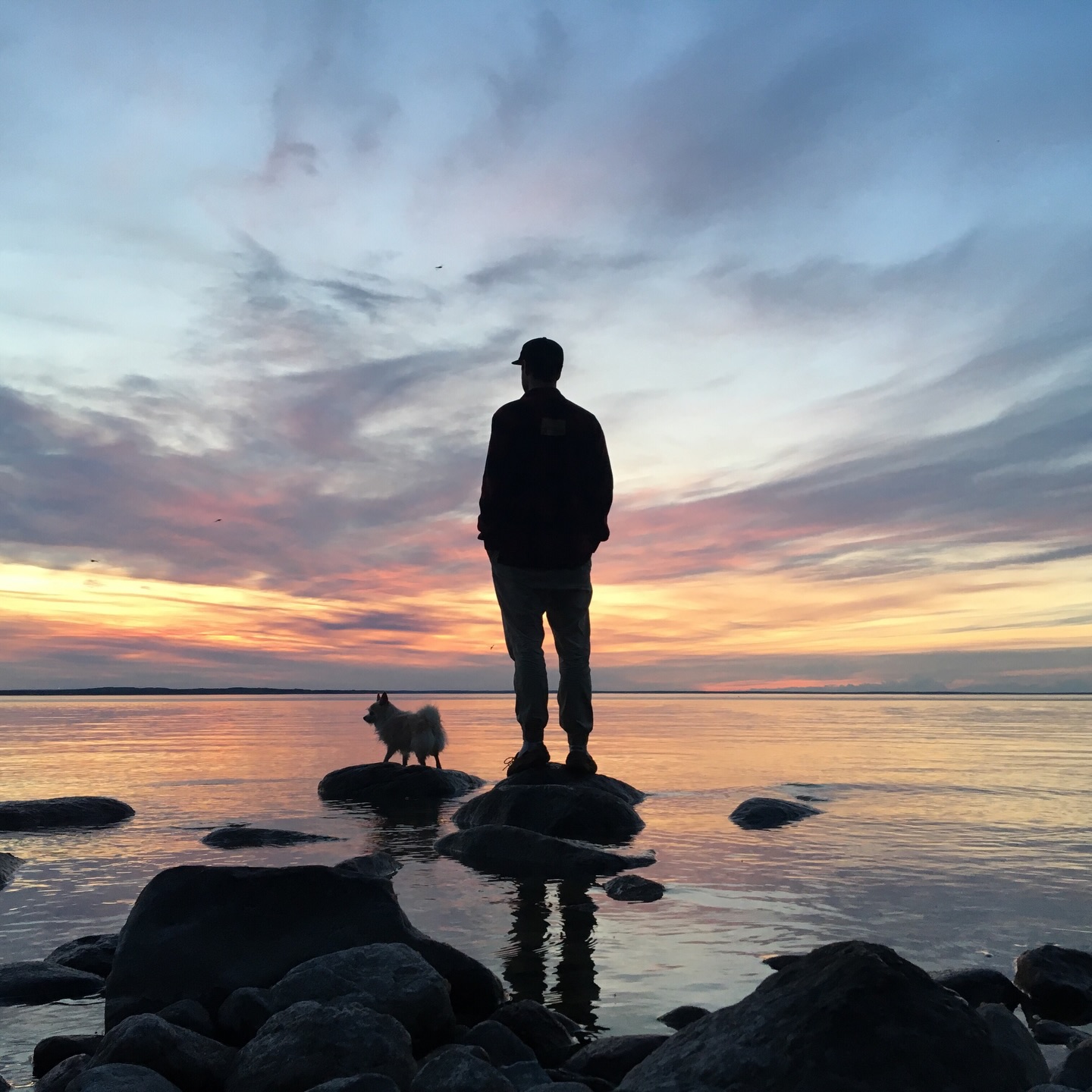 Rest in peace little Jack. You were the best boy. 💔