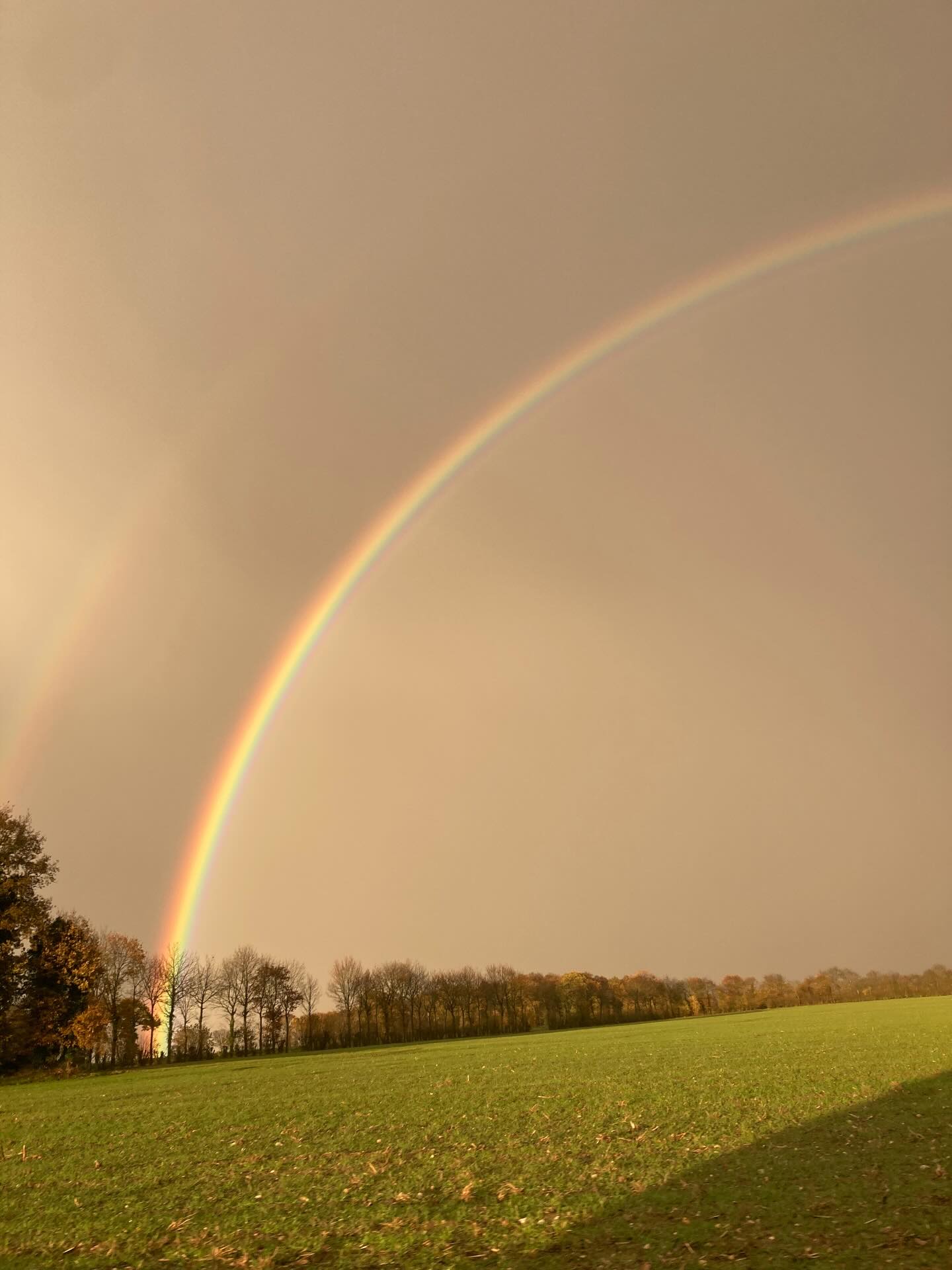 I’ve never seen such a clear, bright and beautiful rainbow before…☺️ actually it was a double rainbow.
Photo/ video credit: Emile, my 7 yr old
We were both taken by it!