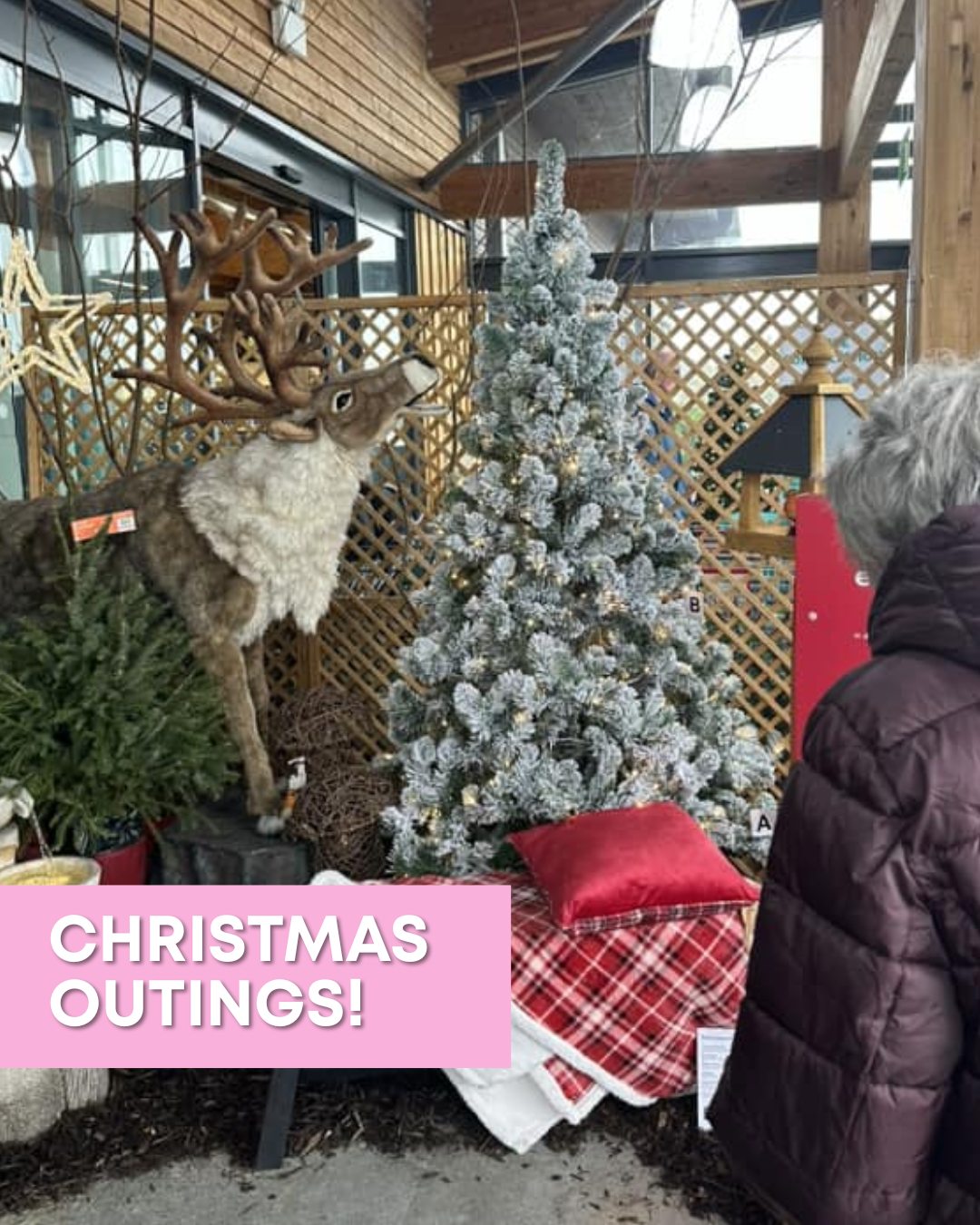 Christmas Outings 🎄
We are able to take our service users out on festive day's out, to help get them outdoors and enjoy the Christmas spirit!
If you're interested in Companionship Care for your loved one get in touch with us today 💗
www.purehearthomecare.co.uk
#PureHeartHomeCare #Christmas #ChristmasTime