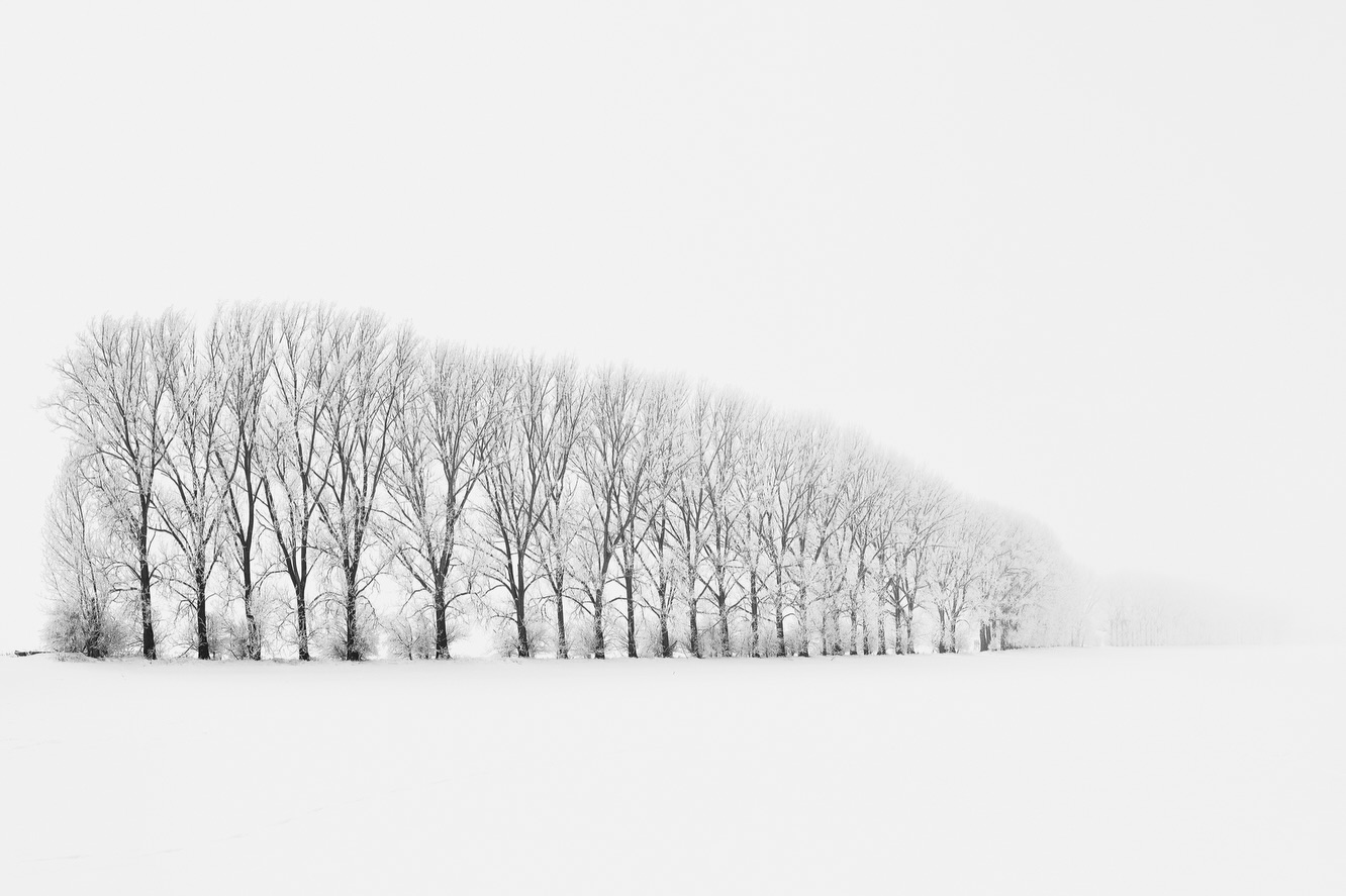 Minimalism in Winter
As I’m printing this image as full panorama for a client, I just remembered how I shot it out in the cold.
Back in 2021 we had the perfect conditions for my favourite kind of photography: black and white minimalism here in my home region.
What I love about those conditions? It was crazy cold, my breath froze instantly on my tripod as I was composing my panoramic shots, the landscape before me looked calm and monochromatic already, it was quiet and peaceful. I wasn’t aware at this moment that this row of trees would have a huge gaping hole where the new road was constructed just a few months later - so it feels like a little time capsule for me.