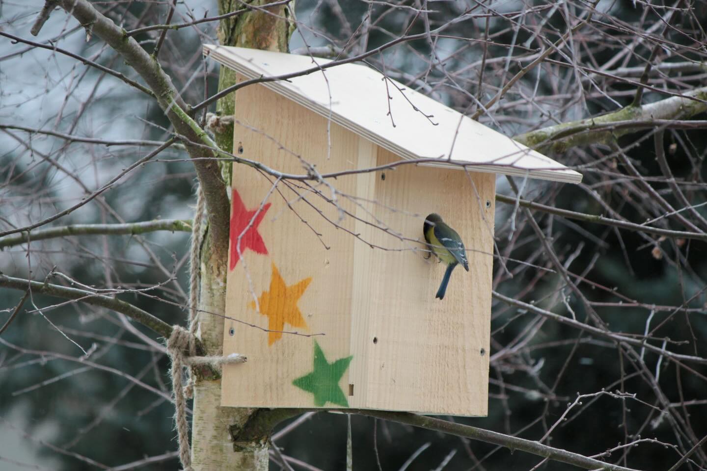 Early birds! Ready? 🤩🚀
Am 1.12.2025 starten wir den Vorverkauf für das Reeds Festival (17.-19. Juli 2026) - mit einer Spezialaktion:
3 Tage Reeds für CHF 99.-!
Die Anzahl ist beschränkt, wenn sie weg sind, beginnt der reguläre VVK.
Der Surprise-Effekt ist inklusive, wir können nämlich (leider) noch keine Namen des Line-Ups veröffentlichen... 😁
Wir freuen uuuuuns!
❤️💛💚
#reedsfestival2026 #reedsfestival #reedsfamily #pfäffikonzh #pfäffikersee