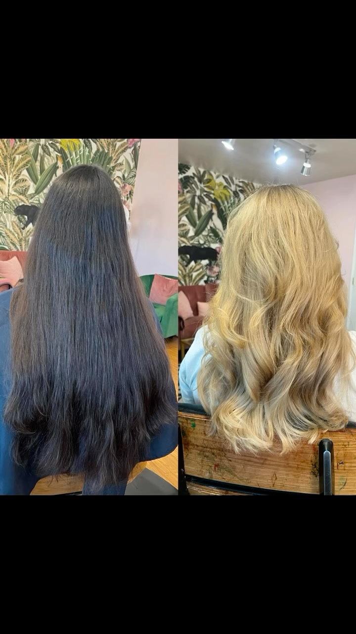 The ultimate definition of “transformation”
.
Inspired by 60’s & 70’s era golden haired babes, we drove this session till the wheels fell off!
.
And the results are nothing less than ravishing.
.
#hairbybettina #sonomacounty #blondehairtransformation #santarosahairstylist #blondespecialist