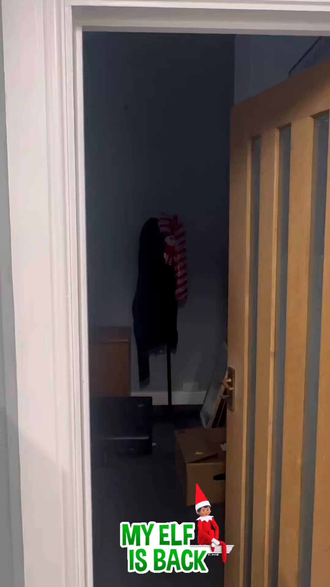 Guess who's back...🎄
It's all starting to feel a little festive here at Highfield HQ!
Our newest member of the team has been busy keeping us all on our toes. Although, he does seem to keep eating all the mince pies...
#FestiveFun #ChristmasVibes #HolidaySpirit