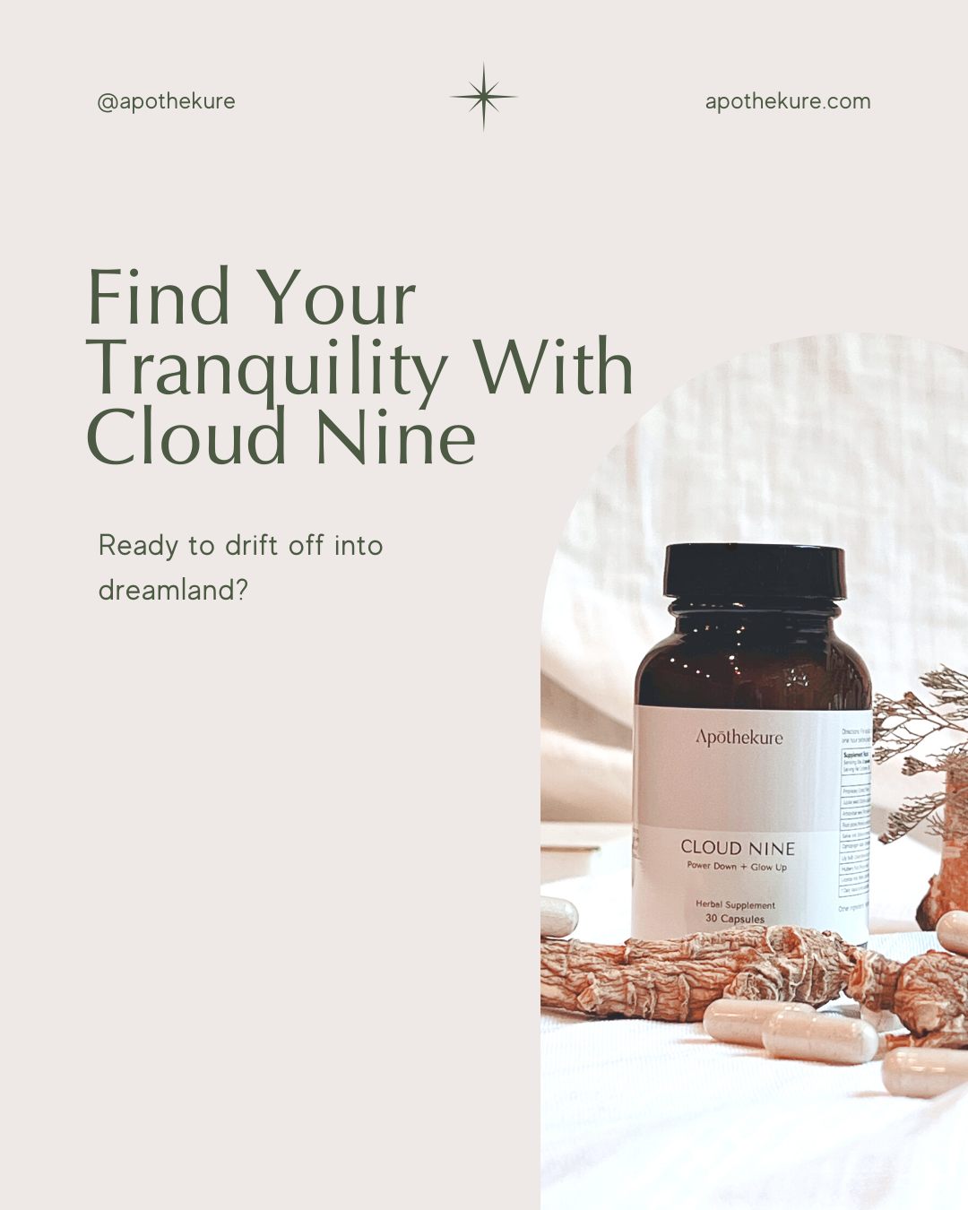 Rise and shine with a sense of calm and renewal! 🌤️
With Cloud Nine, discover the key to a serene slumber and a revitalized awakening. Our carefully crafted supplement ensures you drift off without grogginess and form no dependencies 🛏️💤
Experience what it feels like to have your mind feel centered as you embrace the morning light, rejuvenated, and eager to seize the day.
Unlock the serenity of sleep and greet each morning feeling energized. Embrace your #BestRestYet, courtesy of Cloud Nine. 🌙✨
#CloudNine #PeacefulSleep #RiseAndShine #RejuvenationNation