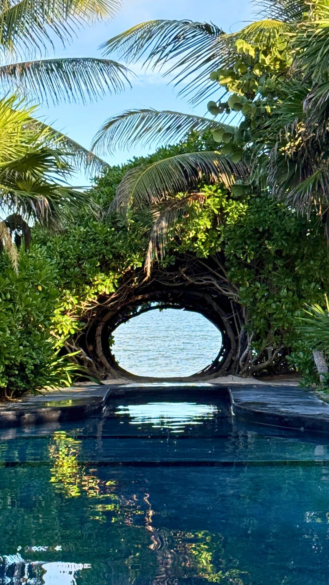 Tulum is one of those places that looks the same in every guidebook… until you actually explore it with insider access.
During my recent trip, I found a side of Tulum most travelers never see and it completely changed the way I viewed this destination.
Here are a few of my favorite discoveries:
1️⃣ Private cenotes (not open to the public — calm, empty, stunning)
2️⃣ A chef-led food experience that taught us the history behind tortillas, salsa, and how to make them both!
3️⃣ The perfect timing to visit cultural sites and art spaces like Azulik Uh May and Mayan villages
4️⃣ Boutique jungle hotels like MOTTO Tulum, Hotel Ahau, and Casa Malca
5️⃣ Sunset experiences that feel luxe, quiet, and nothing like the beach-strip party scene
Tulum has so many layers once you step beyond the tourist stops and that’s the version I love planning for my clients.
✨Thinking about a Tulum trip and want something beyond the usual google suggestions?
Send me a message, I’d love to help you plan a version of Tulum that’s meaningful, elevated, and perfectly aligned with your travel style.
.
.
#tulum #tulummexico #tulumvibes #tulumvacation #tulumexperience #tulumcenotes #travelsbyniki