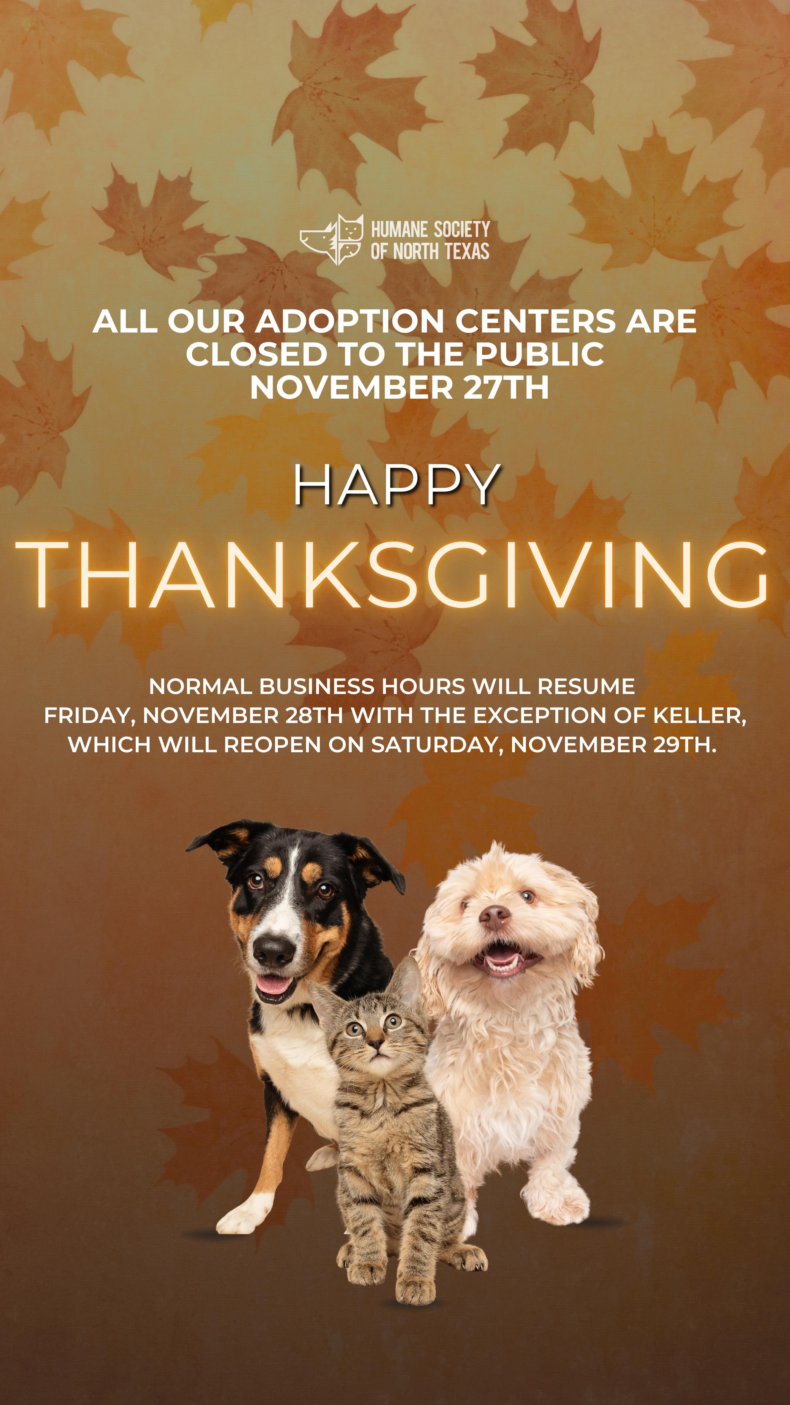 From your HSNT family, Happy Thanksgiving! 🦃
Our pets were generously gift their very own pupsgiving meals and boy did they enjoy them!
Check out our residents having a happy paw-liday!
Just a quick reminder: all of our adoption centers are closed to the public today. We’ll reopen on Friday, except for our Keller Regional Adoption Center, which will welcome visitors again on Saturday.
#thanksgiving #hsnt #holiday #family #friends #shelterpets #puppylove