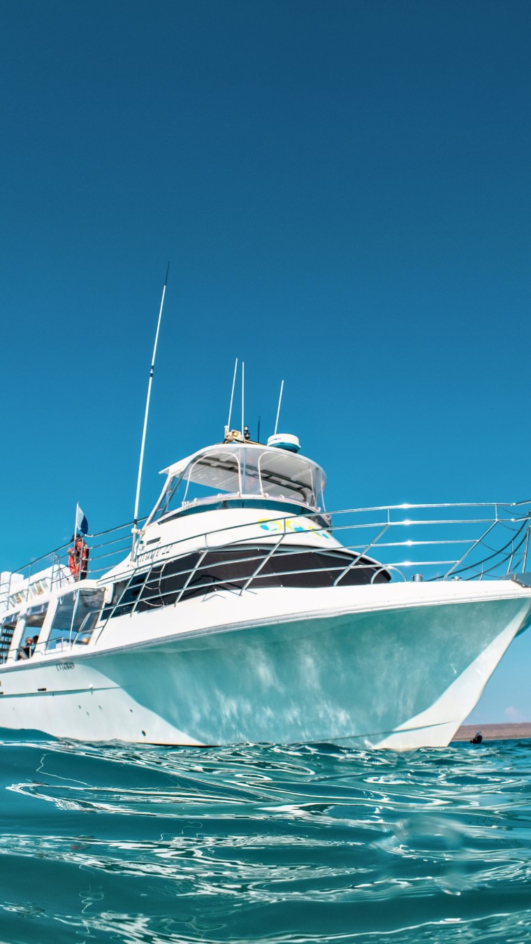 “🌊 Meet Latitude 22, our adventurous vessel that embodies the spirit of our operations! 🚤 The name holds deep significance as it marks the latitude line running through the South Passage at the northern end of Ningaloo Reef, where we embark on our unforgettable whale shark tours. 🐋
But it doesn’t stop there—Latitude 22 also connects us to the Exmouth Marina, located along the same latitude on the eastern side of the cape in the Exmouth Gulf. This special geographical alignment not only guides our journeys but highlights the stunning natural beauty and vibrant marine life that define our experience. Join us in exploring this enchanting region! 🌅 #Latitude22 #NingalooReef #WhaleSharkTours”