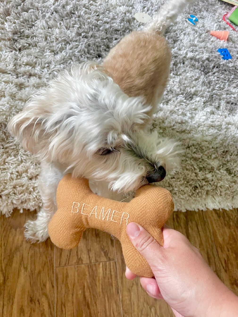 You got a teeny pupper? We got the right toy size.
You got an average furball? We got the right toy size.
You got a larger fuzzhound? We got the right toy size.
You got a giant woofer? We got the right toy size.
#customdogtoy.