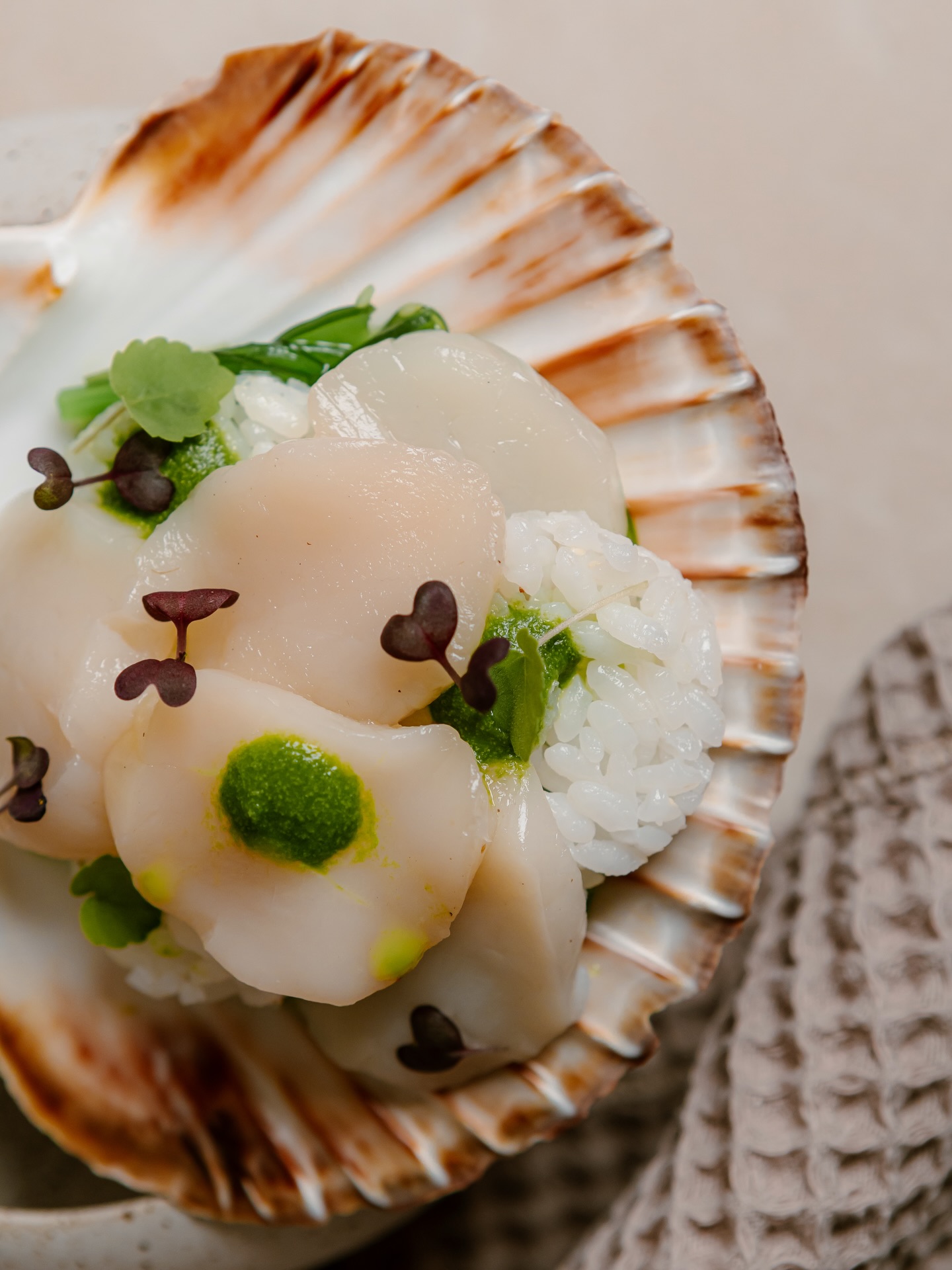 La numéro 7
Zoom sur notre nouvelle carte de saison
Et d’autres encore sur la carte …
#brut #tabledesaison #Gastronomie #RestaurantLove #collegeculinairedefrance #collegeculinaire #CuisineGourmande #ChefCuisine #Restaurantsaintdeluz #DéliceCulinaire #ArtCulinaire #CuisineLocale #DînerGastronomique #TableGourmet #SaveursDuMonde #PlatsGourmands #MenuDuJour #ExpérienceCulinaire #BonAppétit #Restaurateurs #FoodieFrance #PlatsSignature #CuisineDeSaison #saintjeandeluz #collegeculinairedefrance #collegeculinaire
Photo by @yum_photogourmande