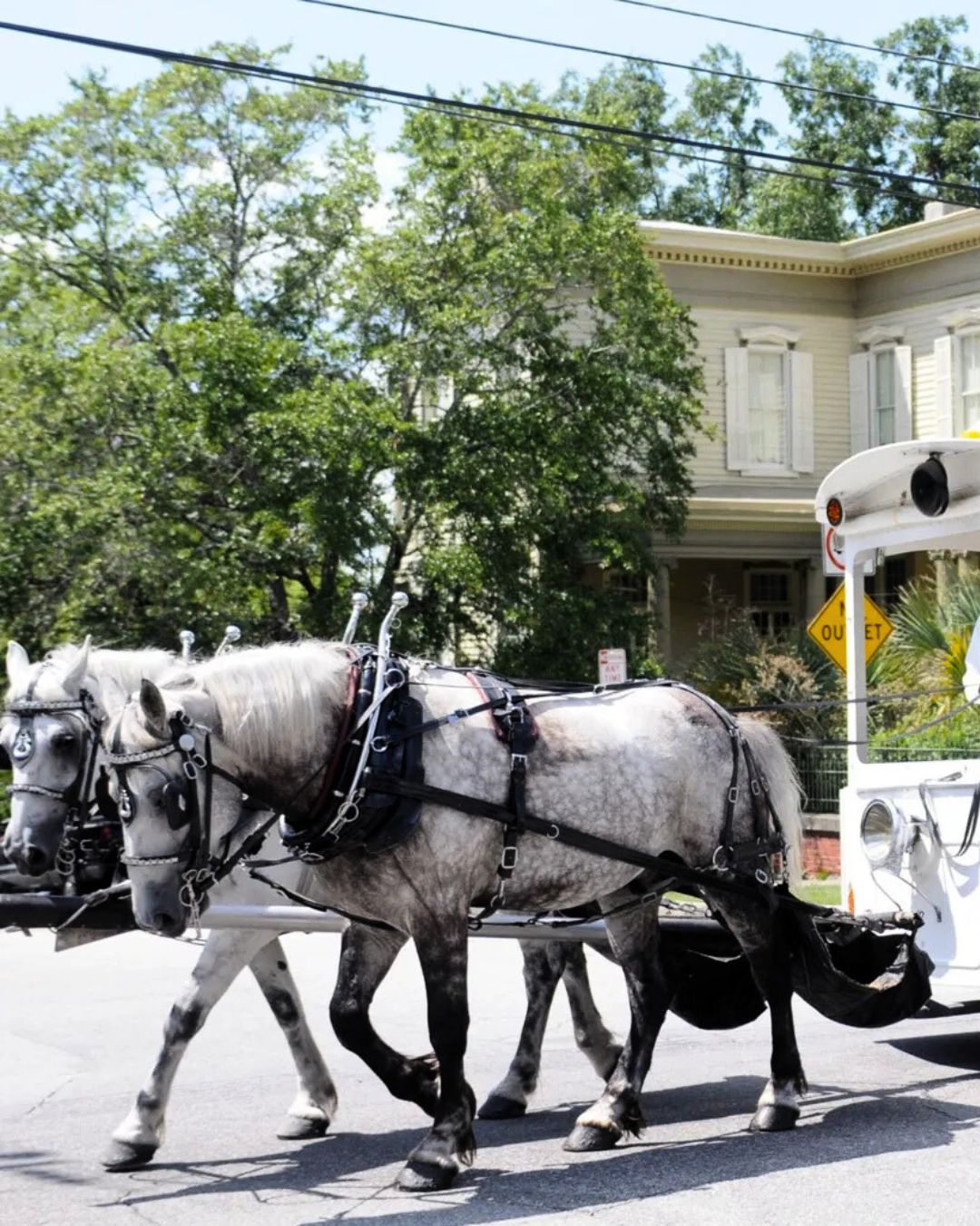 Holiday season means cozy stays, local charm, and time to just be. ✨
#FrontStreetInn #WilmingtonNC #BoutiqueHotel #CoastalStay #SlowTravel #NCGetaway