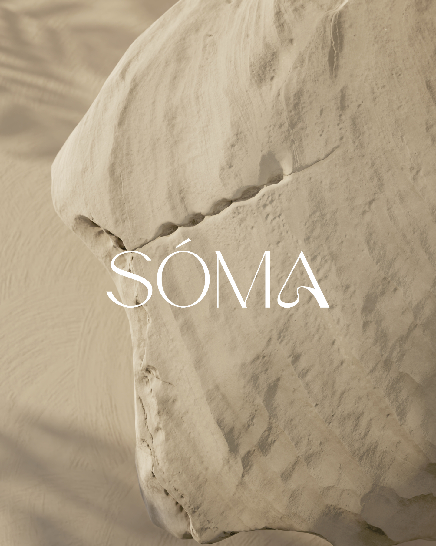 /branding concept: pilates studio
Balance. Breathe. Become. The aesthetic your studio deserves. Let's talk.
.
.
.
#synthesisconcept #marketing #agency