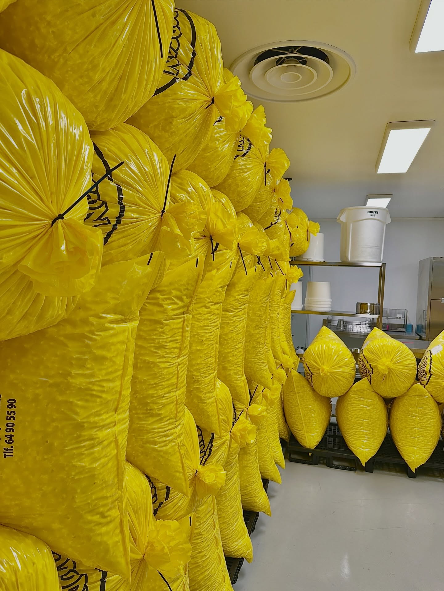 Vi har julepyntet produksjonen vår med de gule sekkene med det hvite gull. 🍿🍿🍿
Trenger dere mer før jul, er siste frist å hente ut fredag kl 13:00! 🧑🏻🎄🎄 Ønsker alle våre nye og gamle kunder en riktig god jul!
#christmas #popcorn