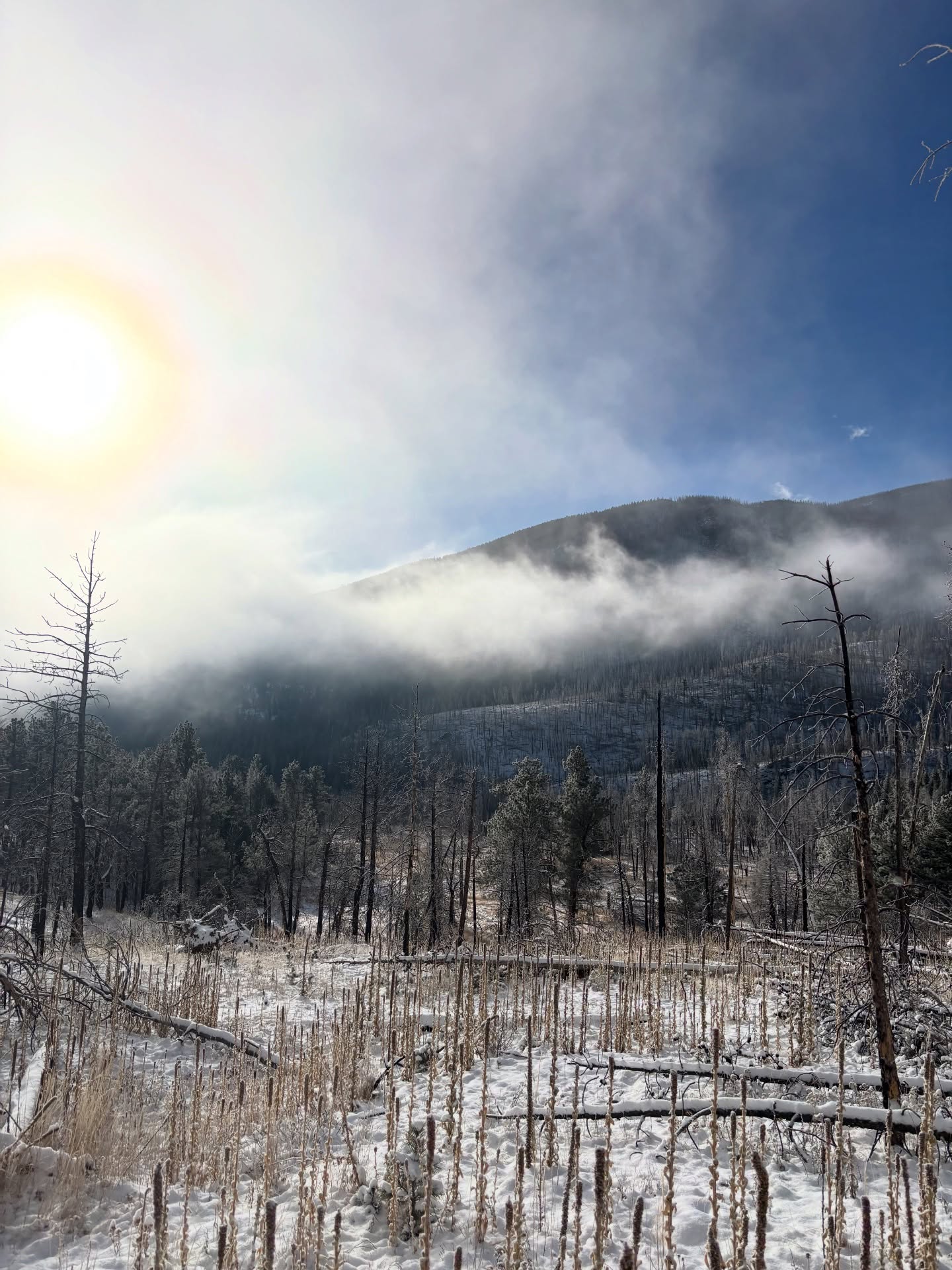 It’s finally snowing! We saw tons of tracks and gorgeous trees. It was a winter wonderland as we walked through rocky mountain national park!
Distance: 11.8 miles (18.99km)
Time: 5:23
Trail: Dunraven Trail
#climbershaul #winter #colorado #hiking #buddysystem #nature #colorfulcolorado #winterwonderland❄️ #fyp #cold #icy #frozen #snowing