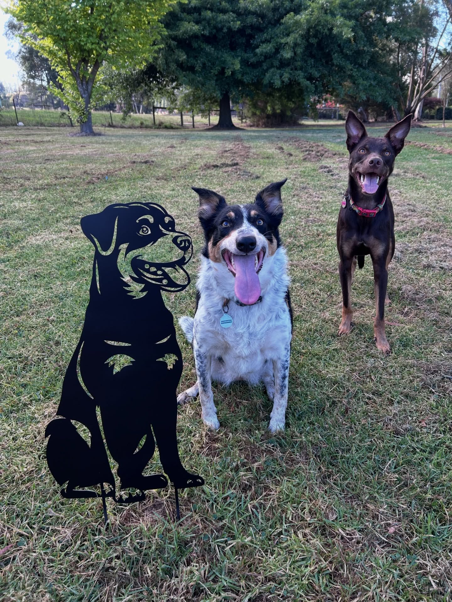 Our made-to-order Christmas cut-off has passed 🎄But if you’re still gift hunting, you’re not out of luck!
We have a range of in-stock, ready-to-ship pieces that are already made and can head out straight away 🚚✨
To help with those last-minute gifts, we’ve also popped many of these items on sale for the final few days before Rudolph makes his rounds.
No waiting. No custom lead times. Just adorable pieces, ready to go 🎁 Perfect for anyone who’s left things just a little late (we see you 😉).
www.miacooperandco.com.au