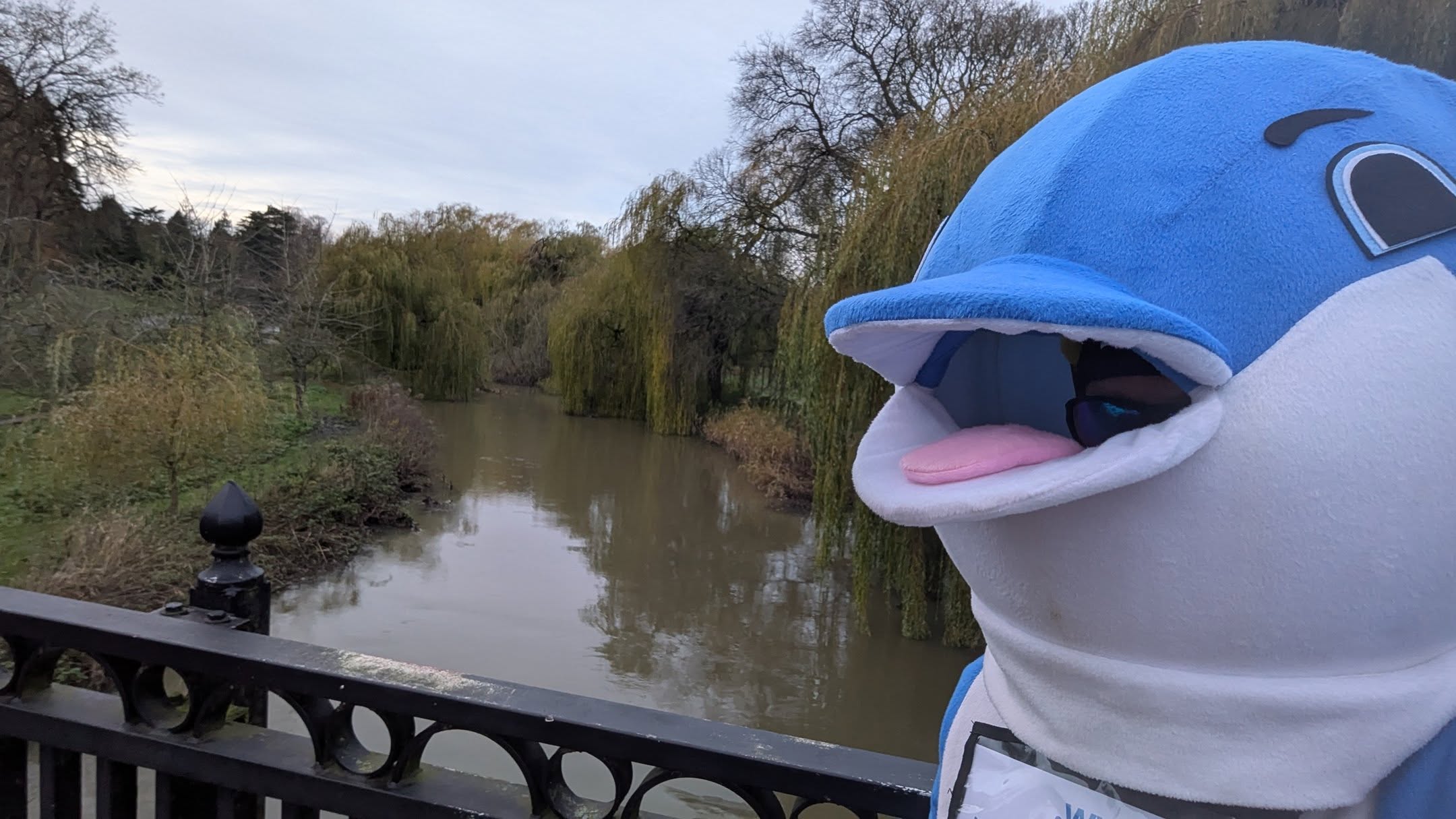 The dolphin doesn't like rain. Ironic yes but just a fact of this dolphin's world. Despite looking like quality fabric (😏), it is less robust than you'd imagine and would dissolve in a drizzle.
Stoked the forecast rain didn't arrive this morning so at 9 am, after a few weeks of hiding inside, the dolphin got out for the Darlington parkrun and I must say, the welcome was one of the BEST EVER.
The support from the volunteers, runners and walkers was awesome - high fives a plenty and loads of photos. Huge thanks to Race Director (?Pip) who gave the dolphin such a huge shout out at the beginning.
And why - because the oxygen in every other breath we take, whatever we are doing including parkrun UK comes from the ocean. The ocean is life and we must never forget it in anything we do.
Thank you to parkrun for providing the dolphin the perfect weekly activity for me to make people smile and communicate.
https://www.dolphinrunner.co.uk/