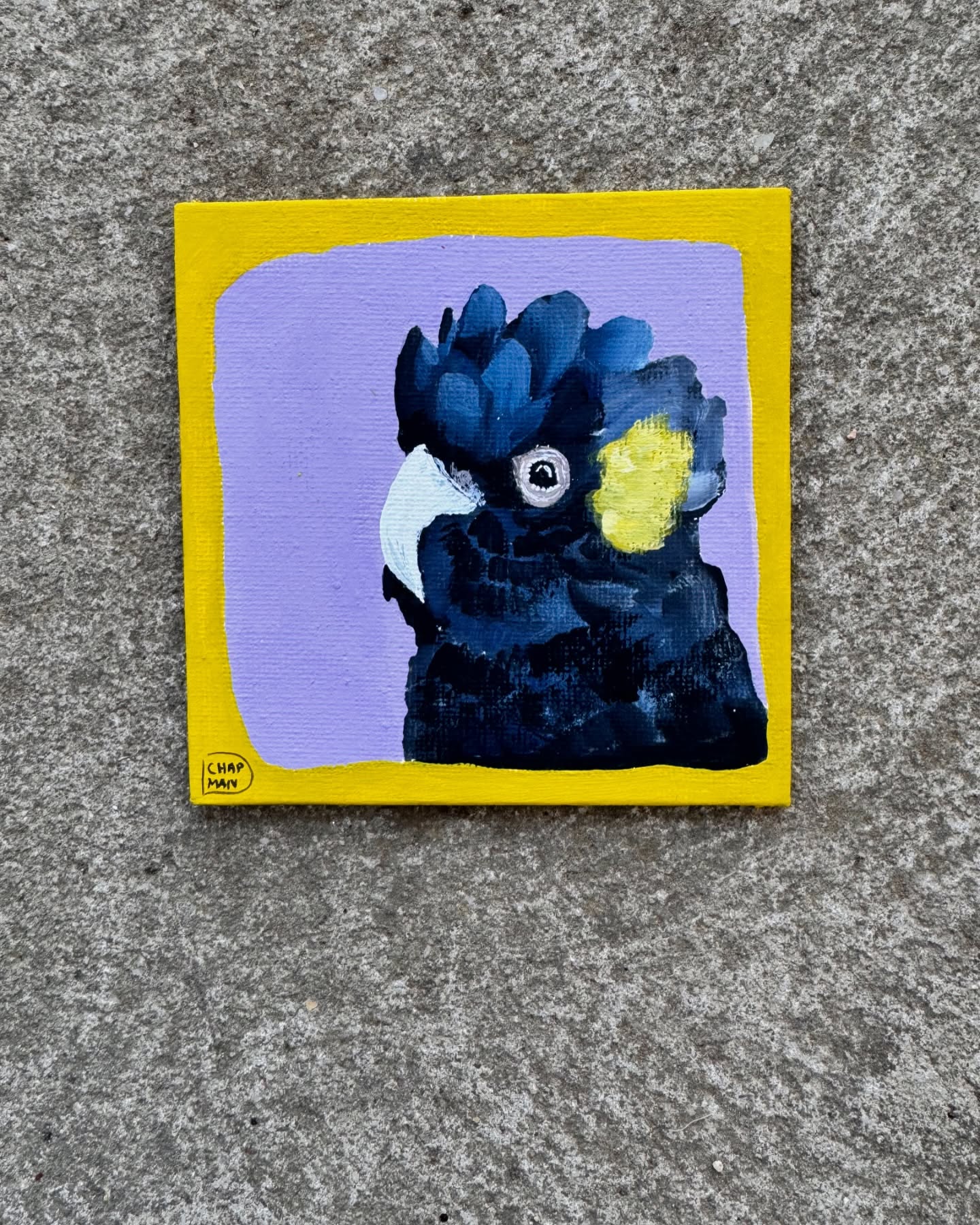 Another one Yellow-tailed black cockatoo 💛 Canvas panel 10cm x 10cm $60 includes post. I don’t have a batch of these just posting as I paint them, keep your eyes peeled. 🙌🏽✨✨ what a weird saying BTW. EDIT NOW SOLD THANKS SO MUCH 💛