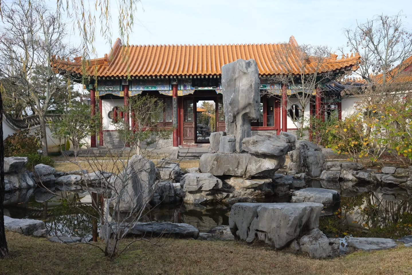 Some more of the garden ~