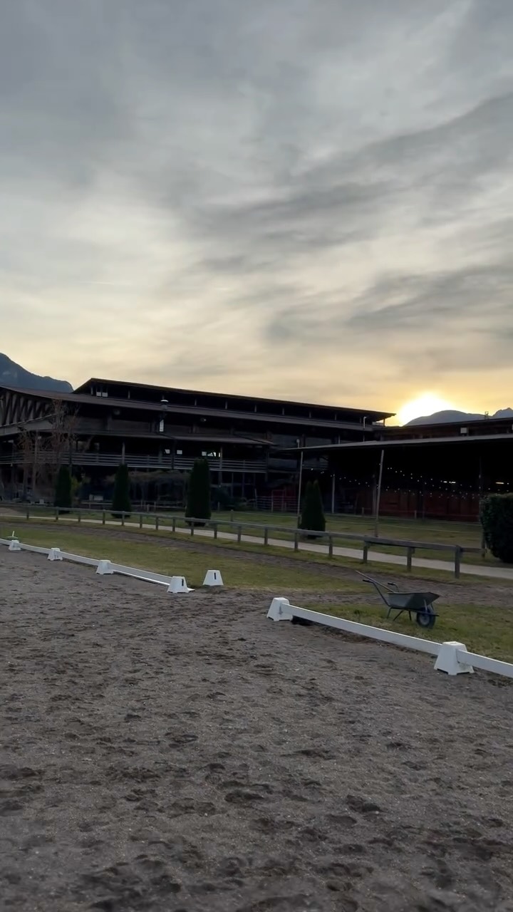Abendtraining mit Rimma vom Schlössl 🌅
Heute arbeiten wir an Balance, feinen Reaktionen und einer klaren Verbindung über den Außenzügel.
Ich liebe die Atmosphäre in der Golden Hour ✨
Allenamento serale con Rimma vom Schlössl 🌅
Oggi lavoriamo su equilibrio, reazioni più fini agli aiuti
e un’azione più chiara delle redini esterne.
Adoro l’atmosfera della Golden Hour ✨
✨ #alpscoliseum #vomschlössl #rimma
#balancedriding #softcontact #outsideRein
#westerntraining #functionalriding
#goldenhourhorses #alpineequestrian
#equinesoul #horsevideo #ridingwithfeel
#southtyrolhorses #reitenmitgefühl
#westernridingstyle #equineart
#cavalliitalia #allenamentocavalli
#stablelife #pferdeliebe #horselove
