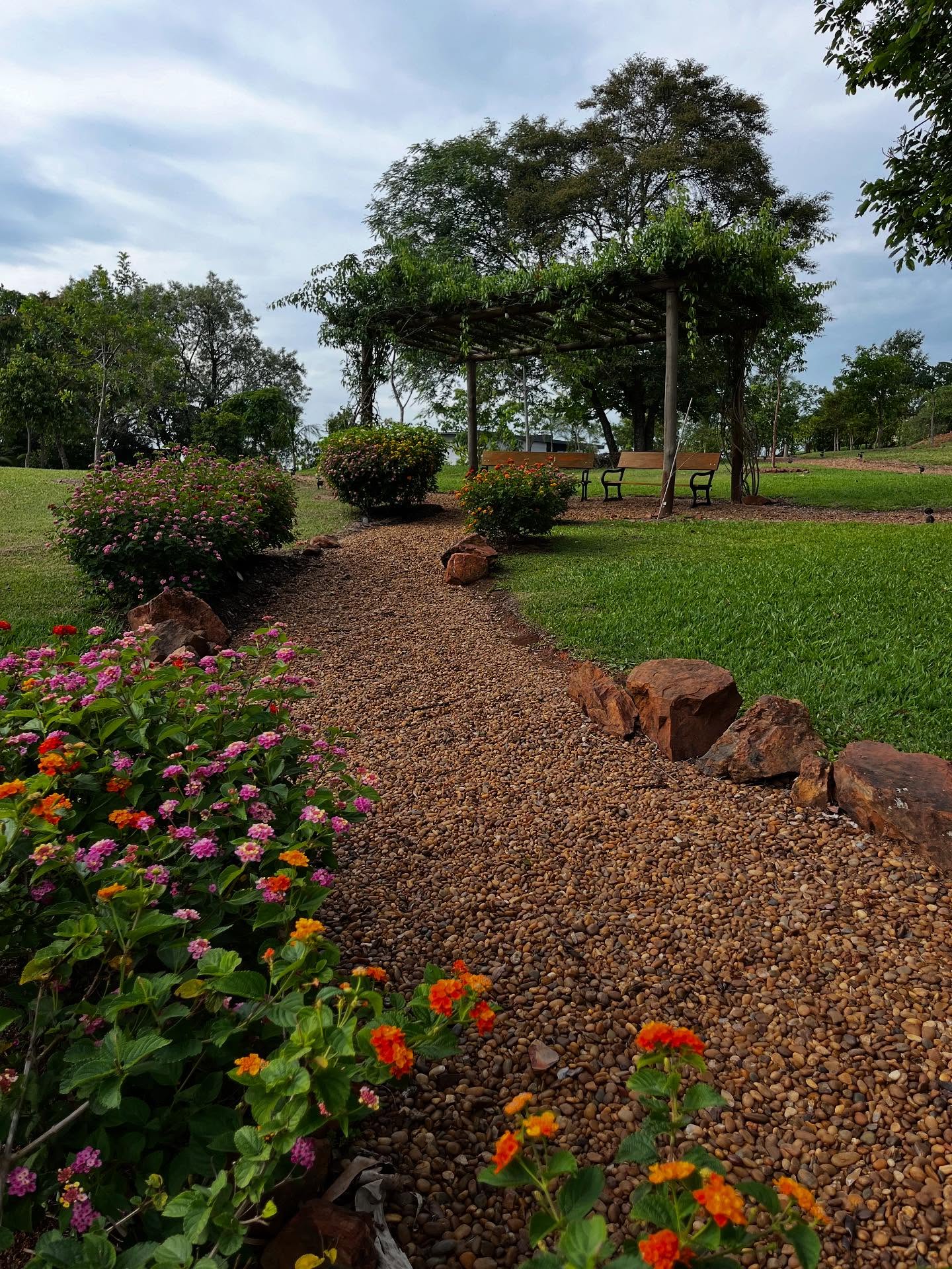 🇧🇷Um percurso pelo bosque de nativas, com pergolado sombreado por trepadeira - praticamente um oásis nesta região que é tão quente. Paisagismo é estratégia - das experiências que você cria para o contato com a natureza, a mistura de cores, a funcionalidade ecológica.
.
🇬🇧A walk through the native forest, with a pergola shaded by climbing plants - practically an oasis in this region that is so hot. Landscaping is a strategy - from the experiences you create for contact with nature, the mix of colors, the ecological functionality.
.
#paisagismoecológico #paisagismosustentável #paisagista #jardimdecasa #casaejardim