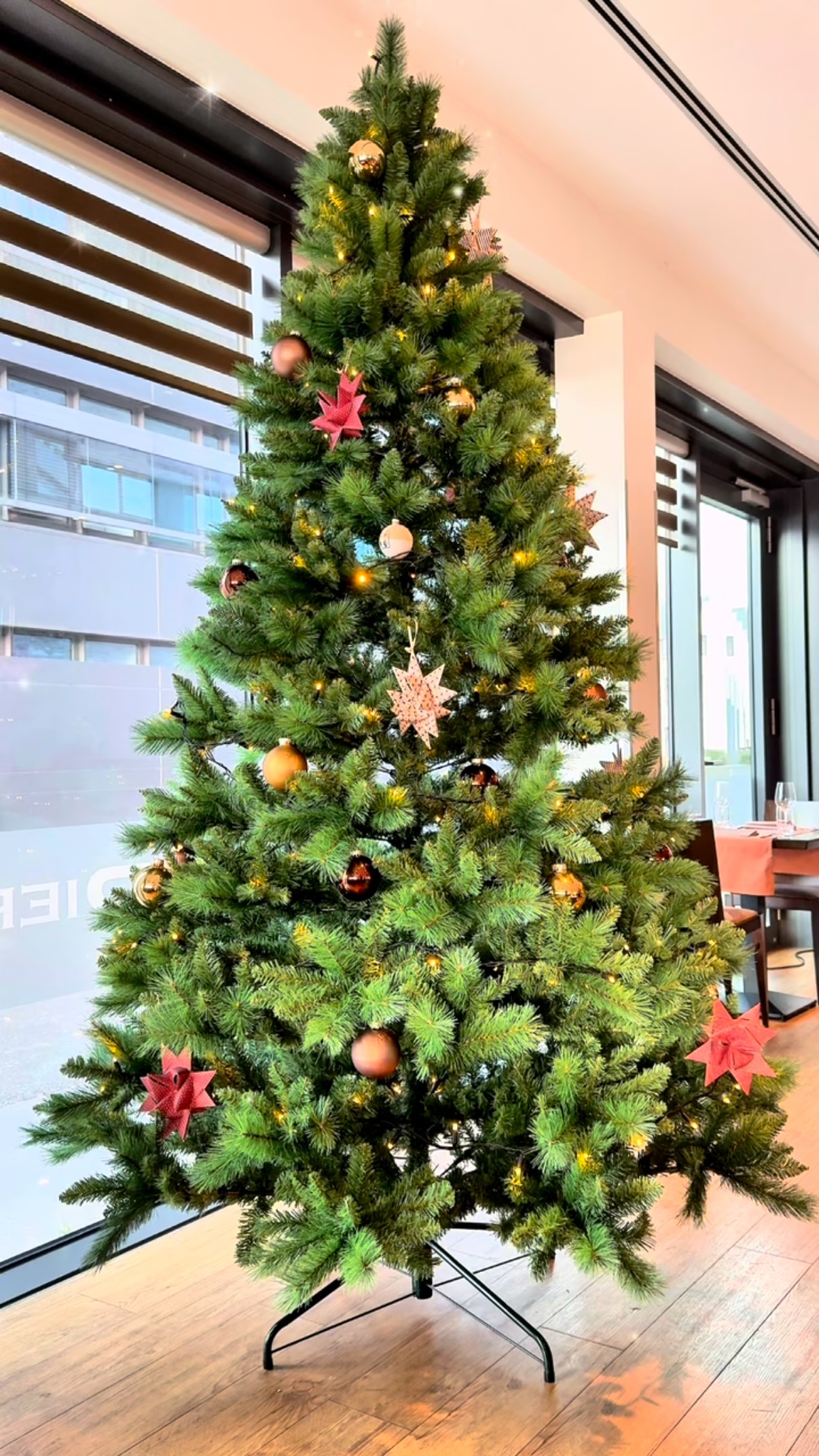 Wir sind bereit für die Adventszeit. Welches Gericht kommt bei dir an Weihnachten auf den Tisch?